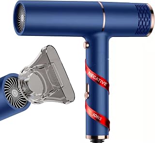 Vivaro Professional Ionic Hair