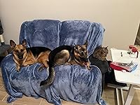 Review Image by Lonely Girl 2000 Lonely Girl 2000