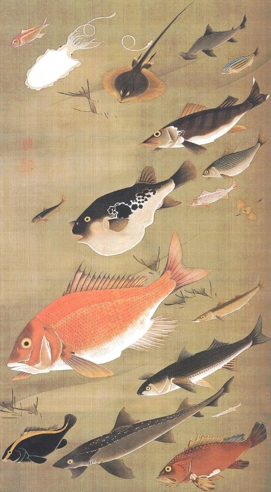 Amazon.co.jp: 絵画風 壁紙ポスター キャラクロ: 魚