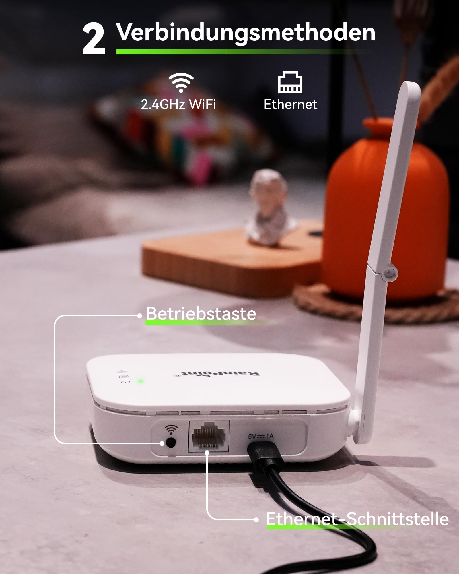 RAINPOINT Programador Riego WiFi 2 Salidas, Puerta Enlace Ethernet y Entrada de Latón, Riego Automatico para Jardín Via App/Voz Control, Riego Basado Clima, Retraso por Lluvia/Manual, 2x6 Horarios