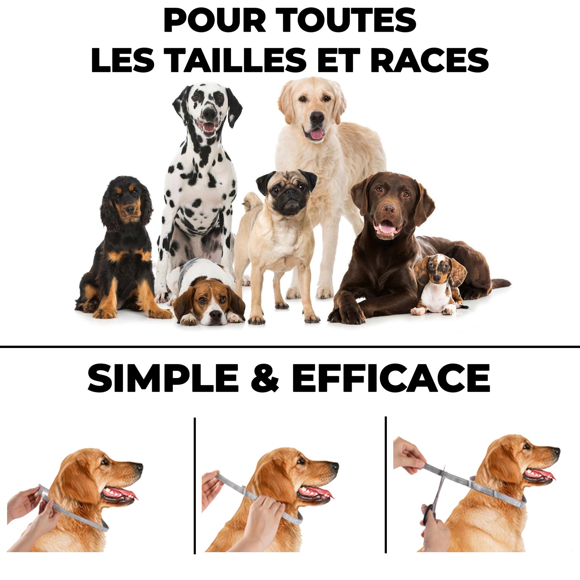 Monked | Collier Naturel pour Chiens sans Produits Chimiques | Réglable pour Petits et Grands Chiens | Protection Anti-tiques et Anti-puces Jusqu’à 8 Mois | Protection Longue durée Hund [Grau]