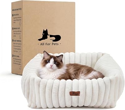 Cute Dog Bed for Small Dogs & Cats,Washable Fluffy Cat Beds for Indoor Cats, Rectangle Orthopedic Memory Foam Puppy Beds with Anti-Slip Bottom, 20 x19 x 6 Inches, Cream 20x19x6 inches