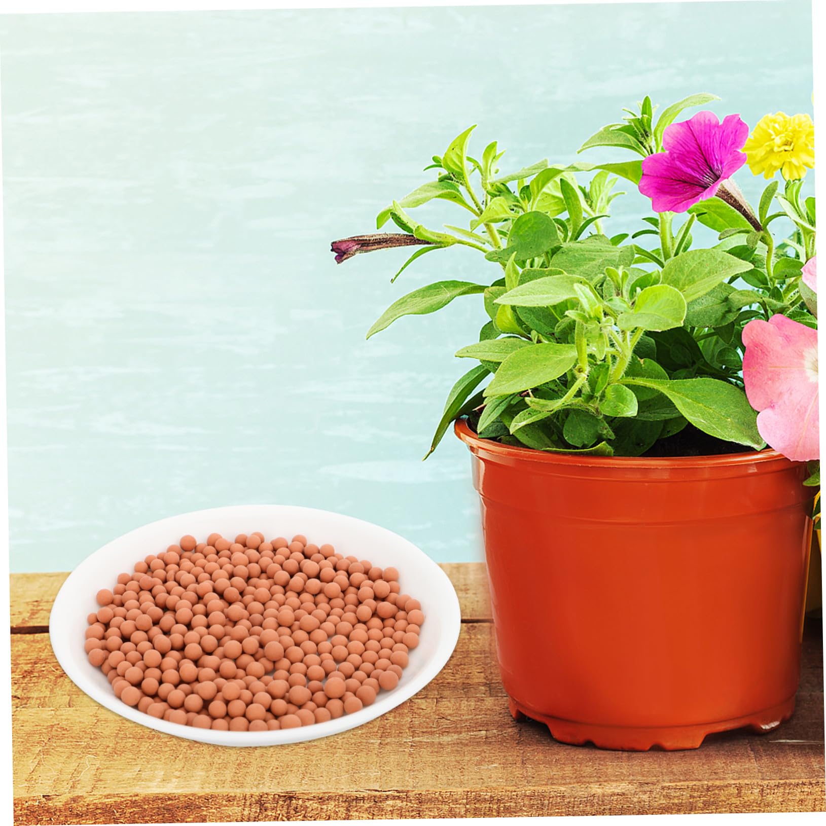 Abaodam Sol de Céramsite et Décoration de Surface Billes d'argile Expansée Aérées Intérieur ou Extérieur Favorise la Ventilation des Racines et L'Écoulement Rapide de l'eau