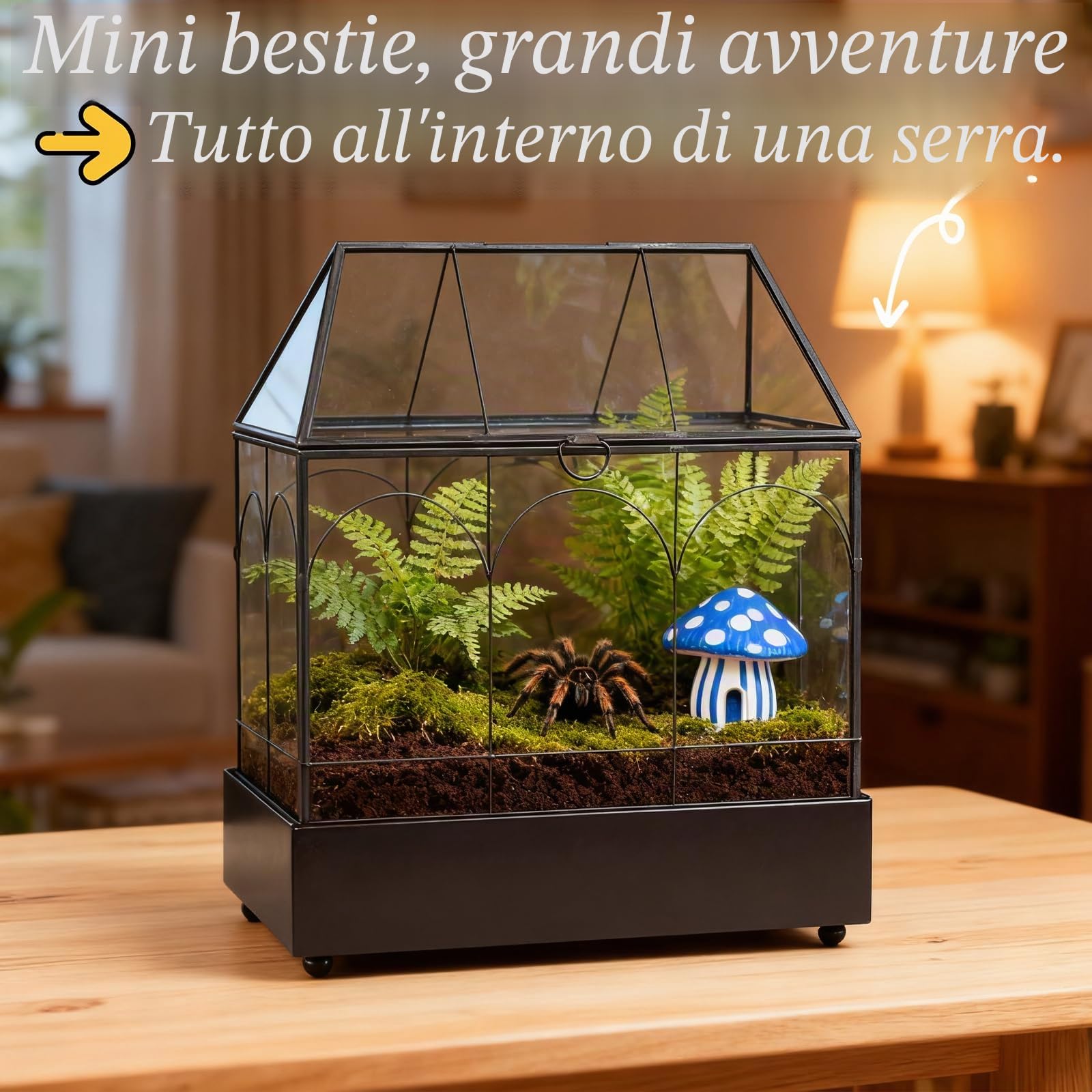 EFUTURETIME Mini Terrario Piante 24,2 x 14,7 x 29 cm con Vassoio Estraibile, Terrarium Vetro a Forma di Casa per Piante Grasse, Cactus e Progetti Fai da Te (senza Piante)