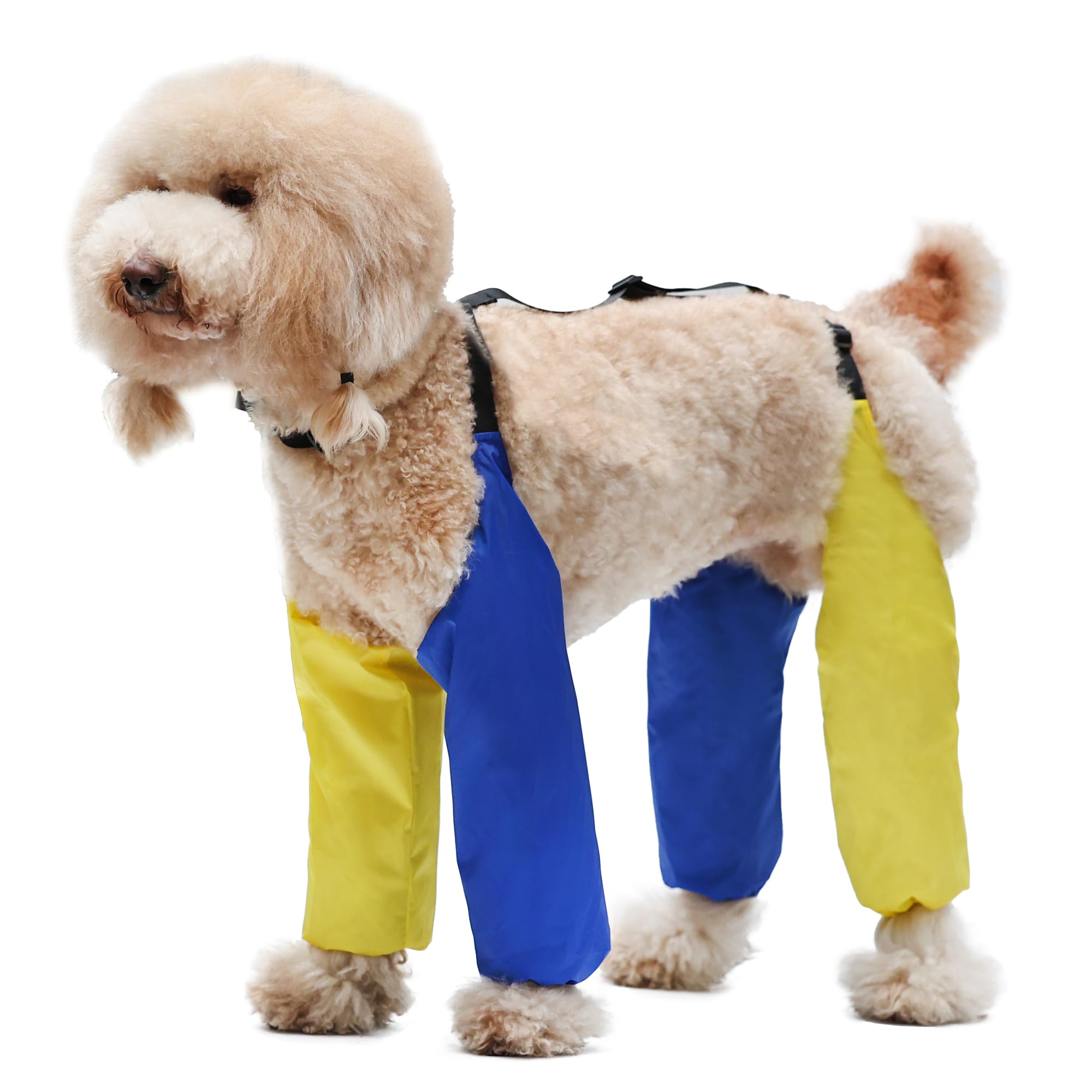 Duuclume Adjustable Dog Leggings, Waterproof Dogs Pets Leg Covering Protector Pants for Small Medium Large Breeds, Dog Recovery Sleeve to Prevent Licking, Pee on Rainy or Snowy Days YellowBlue S