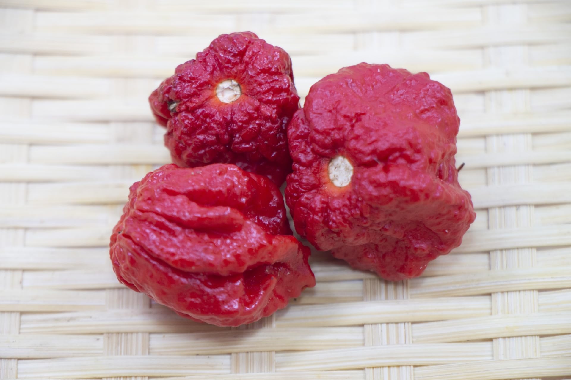 Amazon.co.jp: 【完熟プレミアム激辛】キャロライナリーパー100