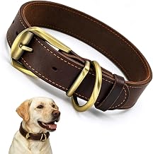 Genuine Leather Dog Collar, Metal Buckle, Brown XL | Wide Adjustable, Ideal for Labrador, Golden Retriever, German Shepherd and Molosse