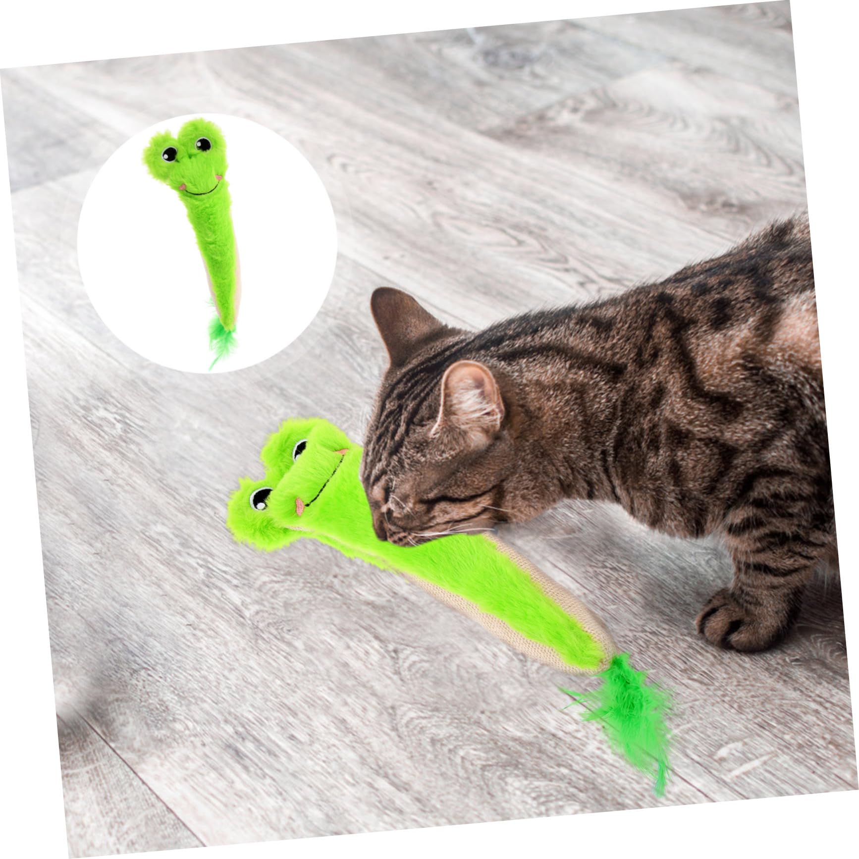 Jouet Chat Herbe à Chat Taquiner Jouets Intérieur Produits Mâcher Dentaire Interactifs