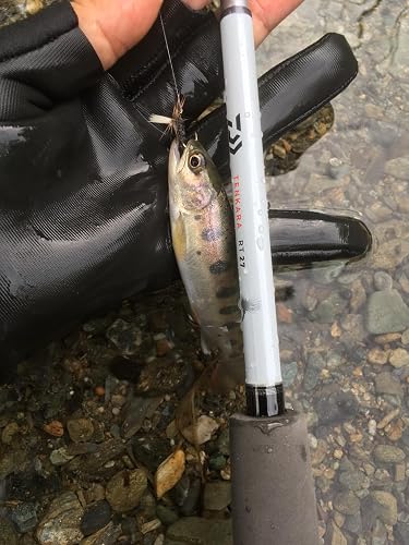 Amazon | ダイワ(DAIWA) 渓流竿 テンカラRT 27 釣り竿 | DAIWA | 渓流竿