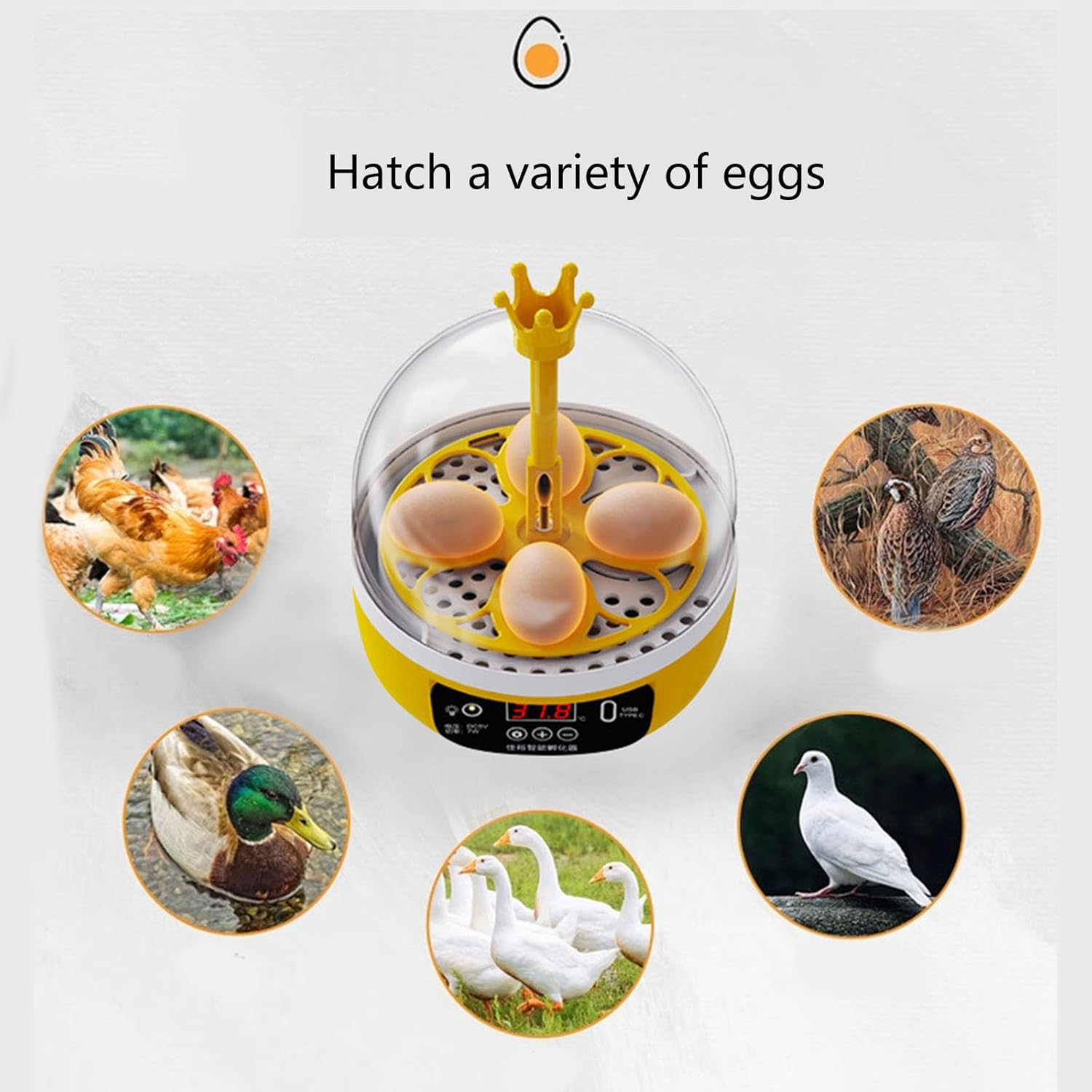 自動孵卵器 インキュベーター 恒温器 鳥類専用ふ卵器 12個入卵 温湿度