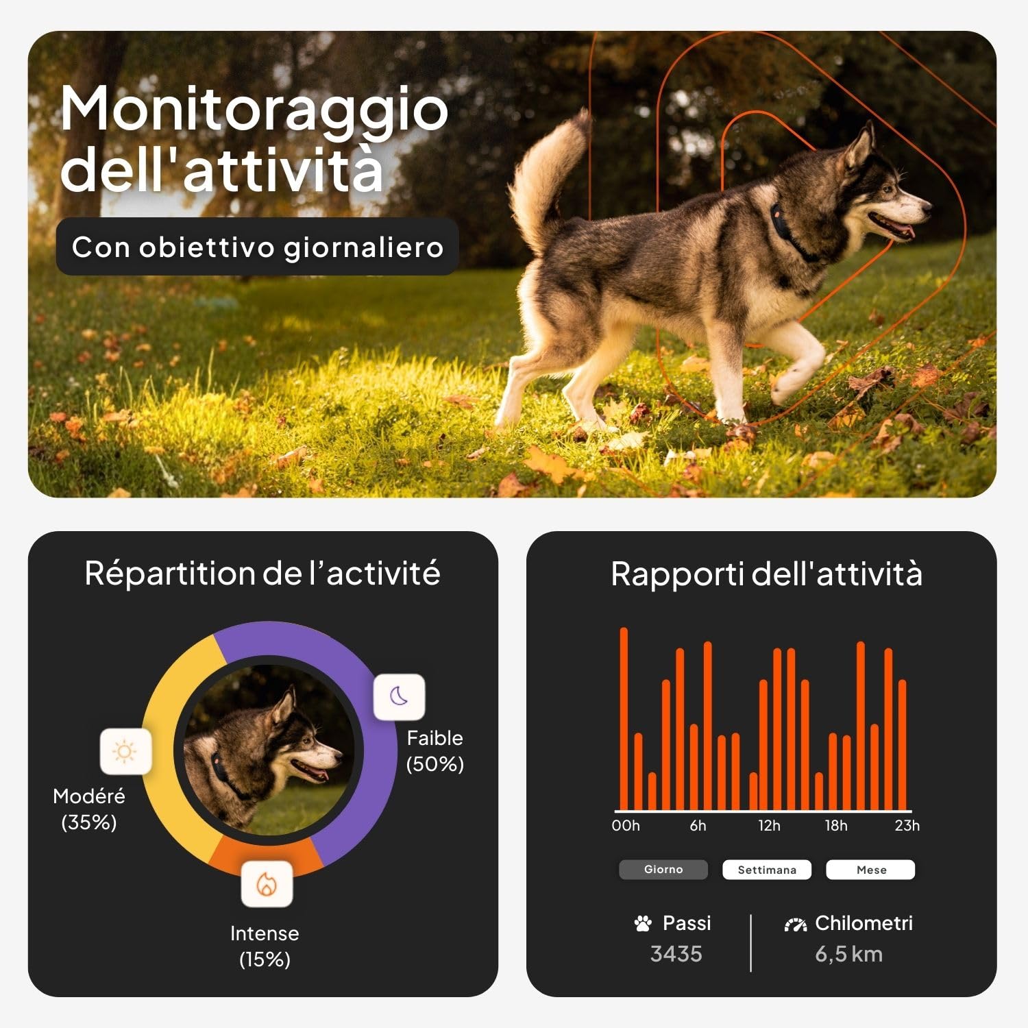 Weenect Dog XT - NUOVO Collare GPS per Cani | Antenna XL | Impermeabile | Collare ultra-resistente integrato Julius-K9 | Garanzia a vita | Abbonamento richiesto (Giallo)