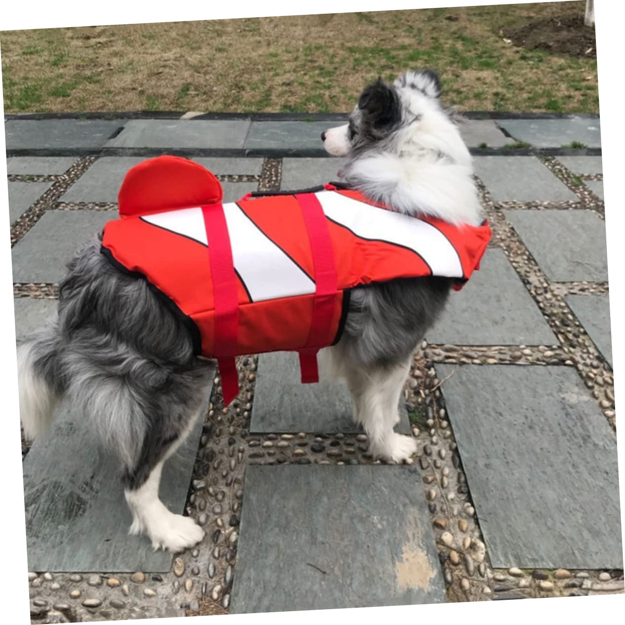 VANZACK Vest for Swimming Pet Swim Suit Puppy Summer Clothing High Visibility D-Ring Leash Attachment