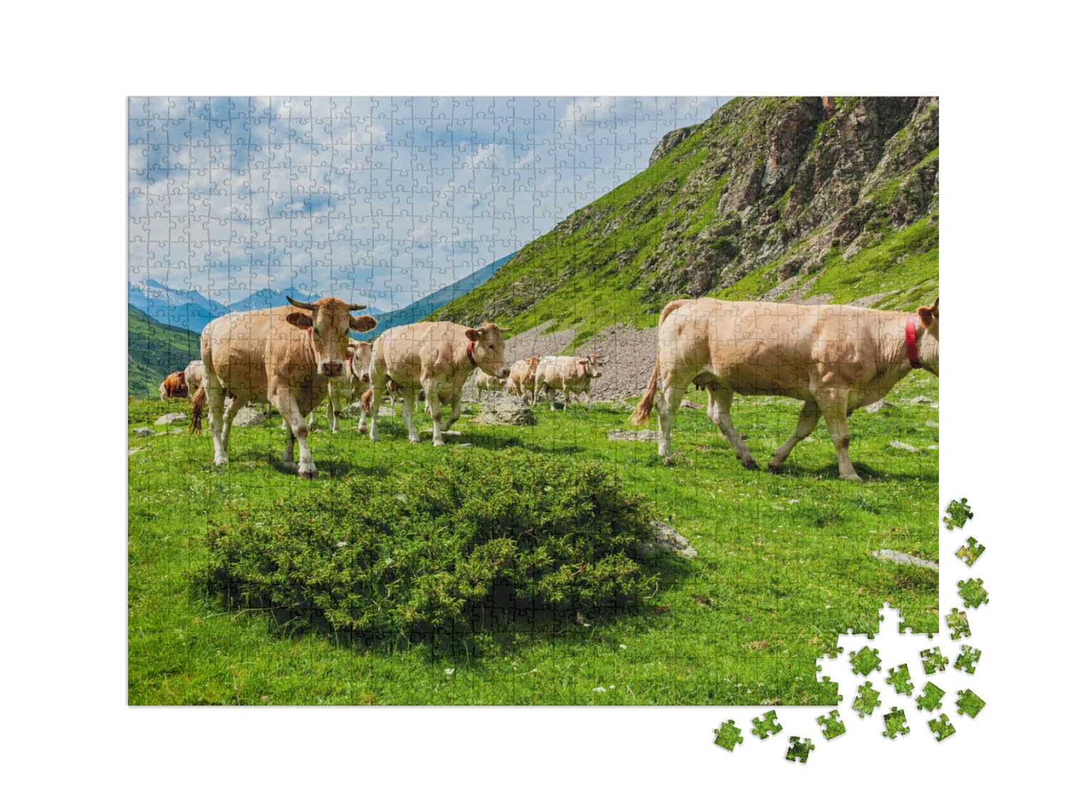 Puzzle 1000 pièces XXL « Paysage de Montagne avec des Vaches dans Les Pyrénées françaises, France »