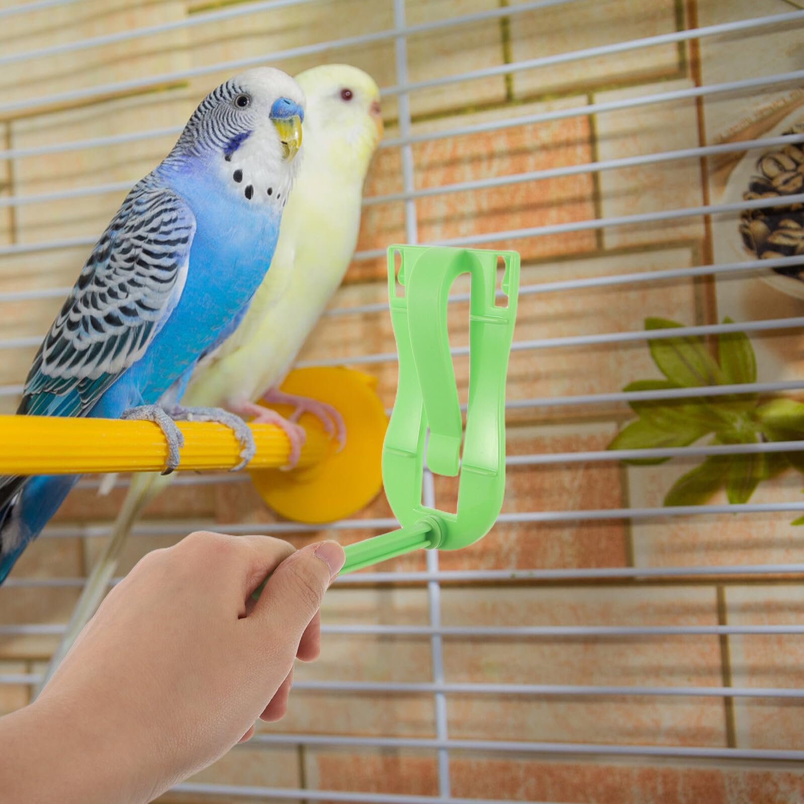FRCOLOR Clip per Mangiatoia Uccelli 20 Pezzi Forchetta per Frutta e Verdura Supporto per Gabbia e Trespolo per Pappagalli e Parrocchetti Accessori per Gabbie da Voliera Adatti a