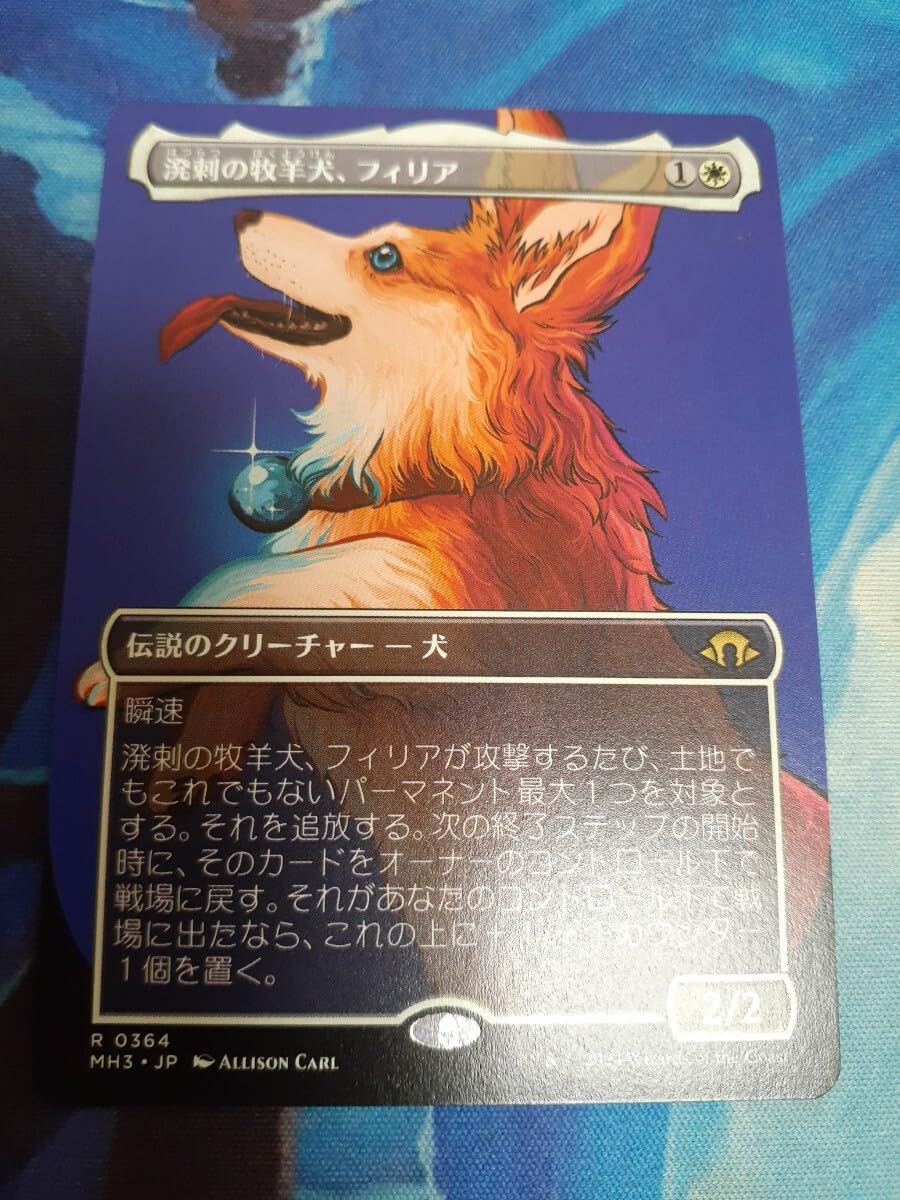 4枚セット 溌剌の牧羊犬、フィリア foil 英語 4枚セット 溌剌の牧羊犬、フィリア foil 英語
