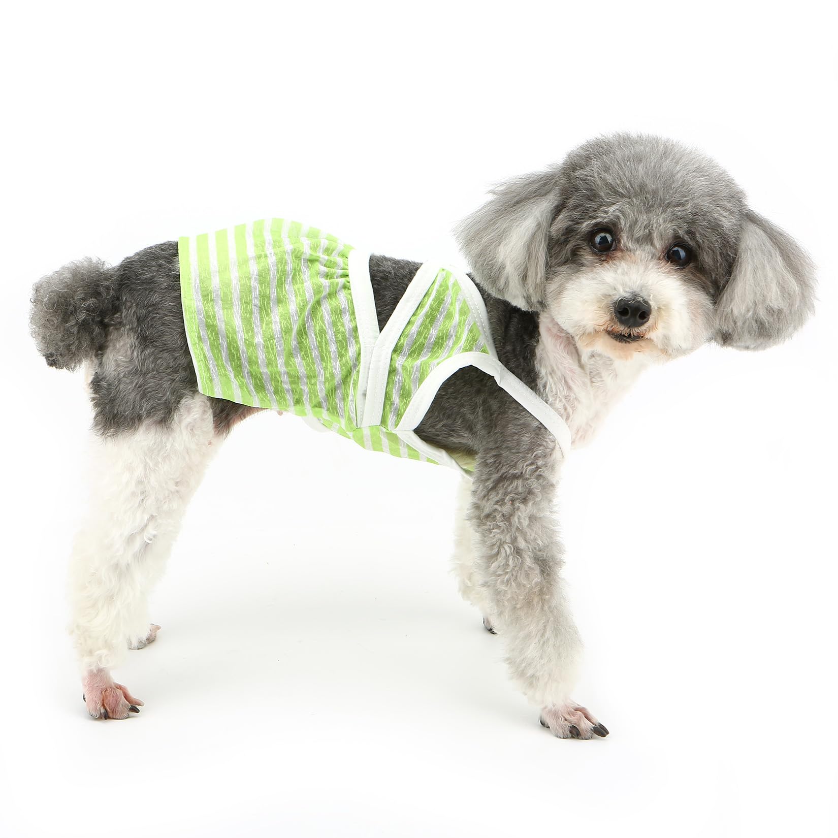 Ranphy Pet Striped Bikini Dress Swimsuit Puppy Summer Bathing Suit for Small Dogs Girl Beach Outfit Yorkie Chihuahua Clothes Cat Costume,Green,S