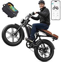 Electric Bike for Adults, Peak 1500W Motor, Range 60 Miles, 20"x4.0" Fat Tire Retro E Bike, 48V 15Ah Removable Battery, 7-Speed Ebkie for City Commuting, Off-Roading, Mountain, UL 2849 Gloss Black