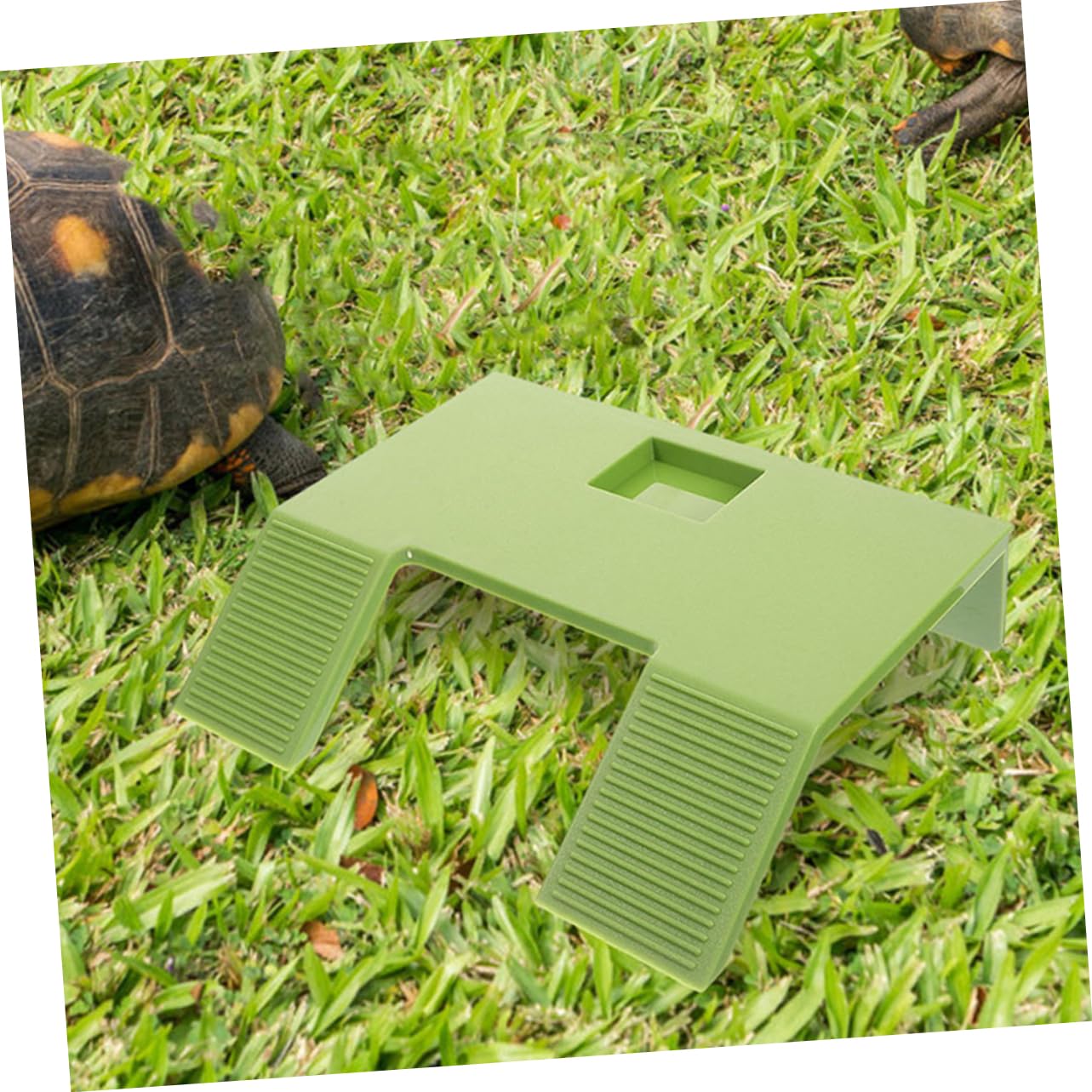 BESPORTBLE 4pezzi Piattaforma Galleggiante per Tartarughe con Ventosa Terreno di Basking per Acquari e Terrari Accessorio per Rettili Facile da Usare e Leggero