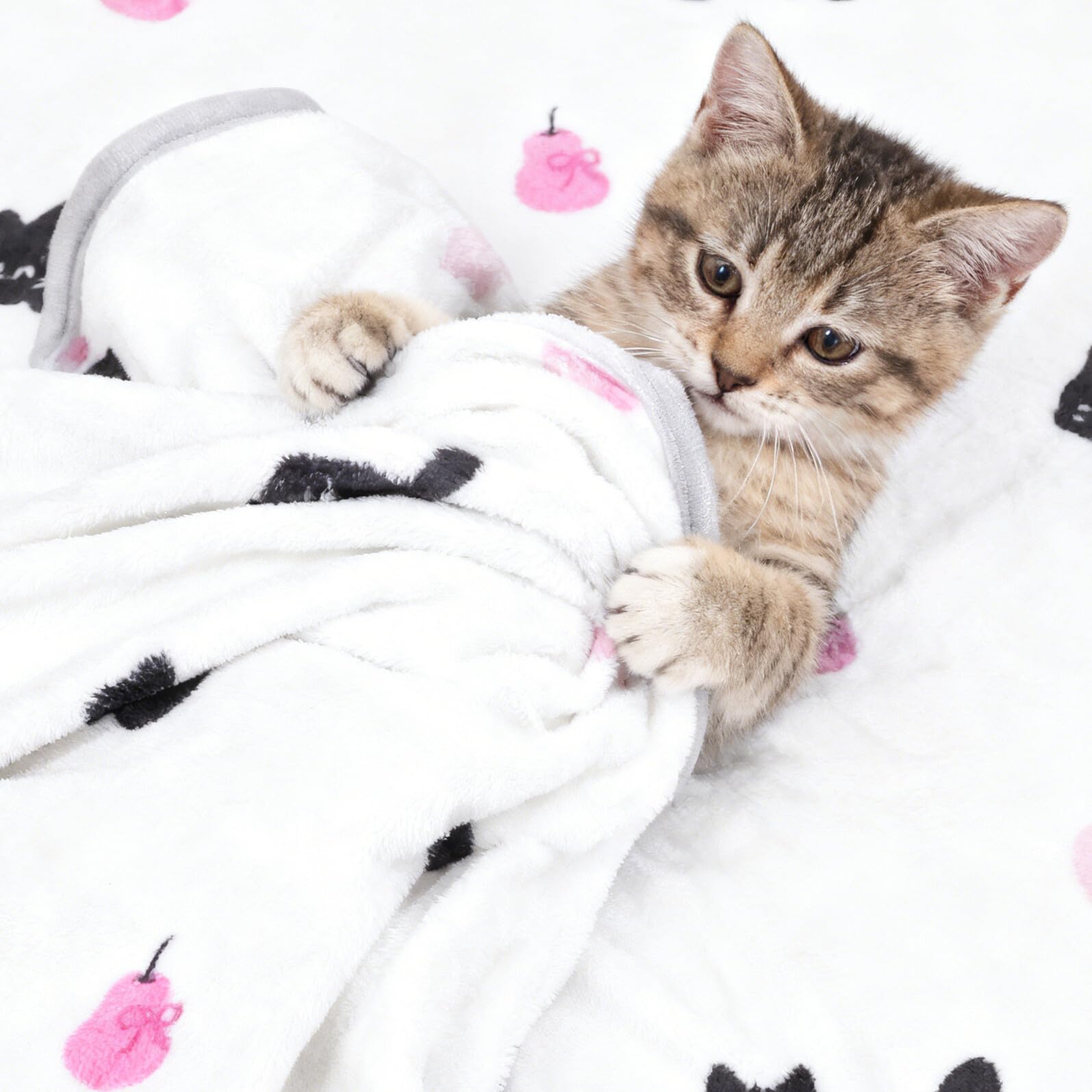 WOONEKY Couverture pour Animaux de Compagnie 150 X 200 Cm en Polaire Douce et Chaude, Lavable en Machine, Adaptée aux Chiens et Chats de Toutes Tailles, Couverture Apaisante pour Canapé