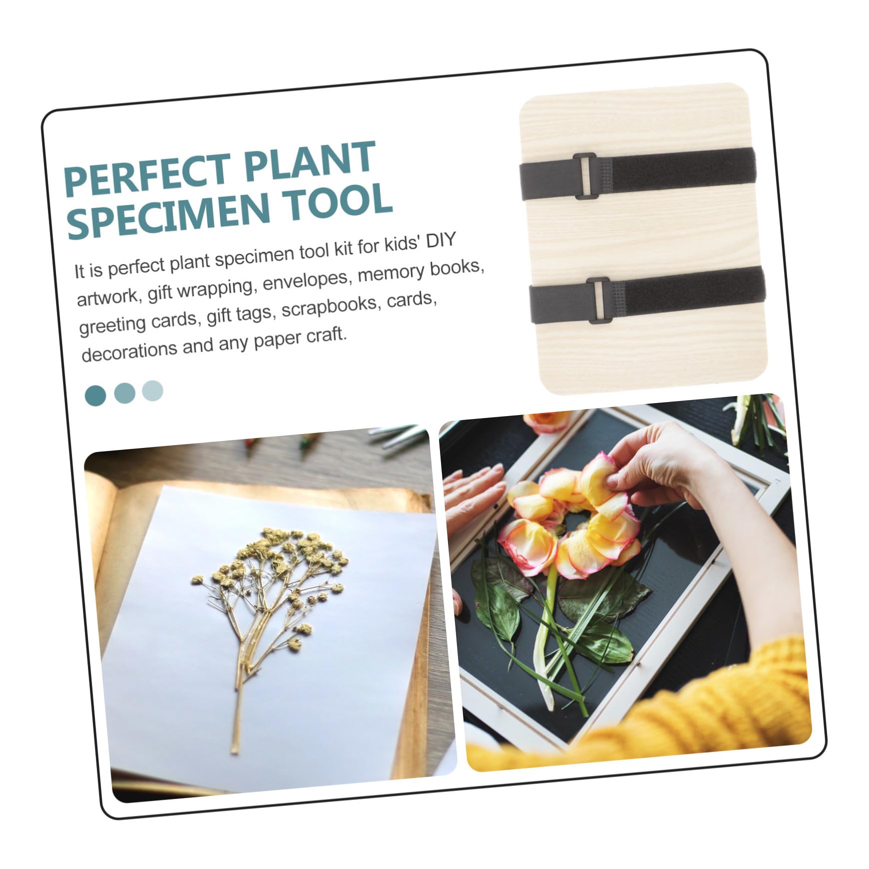 HEALSOPTHY Kit Pressa per Fiori e Foglie Strumenti per Creazione di Esemplari Vegetali Pressa Multistrato in Legno per Fiori Secchi Foglie e Frutta Adatta per Artigianato Decorazioni e