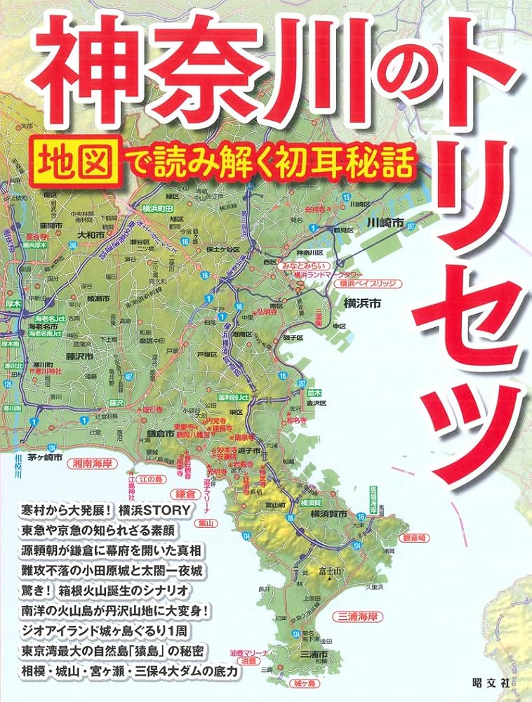 地理な　早瀬から 2025-01-11撮影｜わたらせ渓谷鐵道 (わ89-313) - 東海道・山陽三