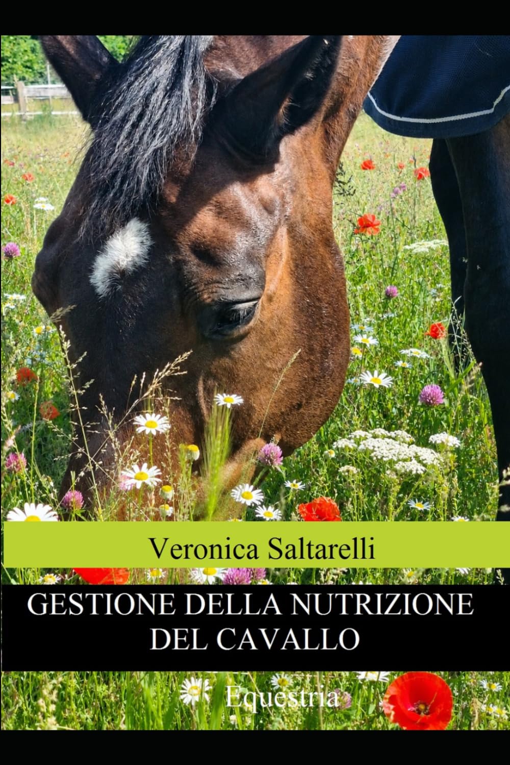 Gestione della nutrizione del cavallo