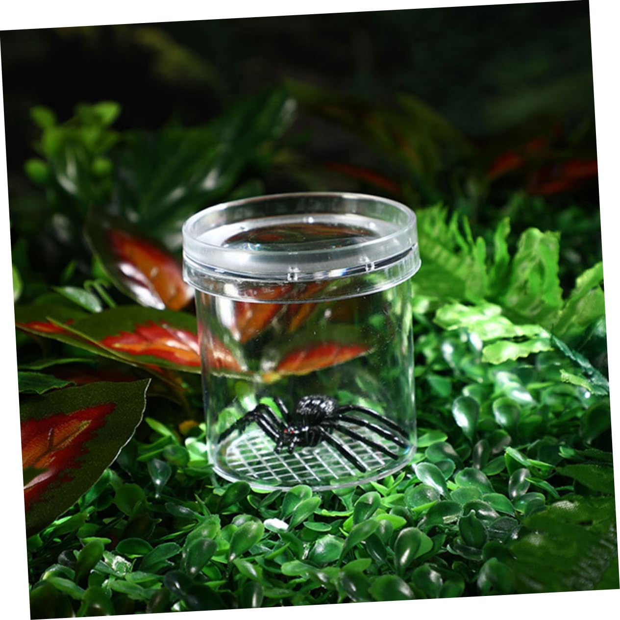 Lot de 8 Boîtes Loupe pour Insectes Garçon et Filles Petit Format Observation Précise Extérieur Apprentissage Scientifique Exploration Naturelle