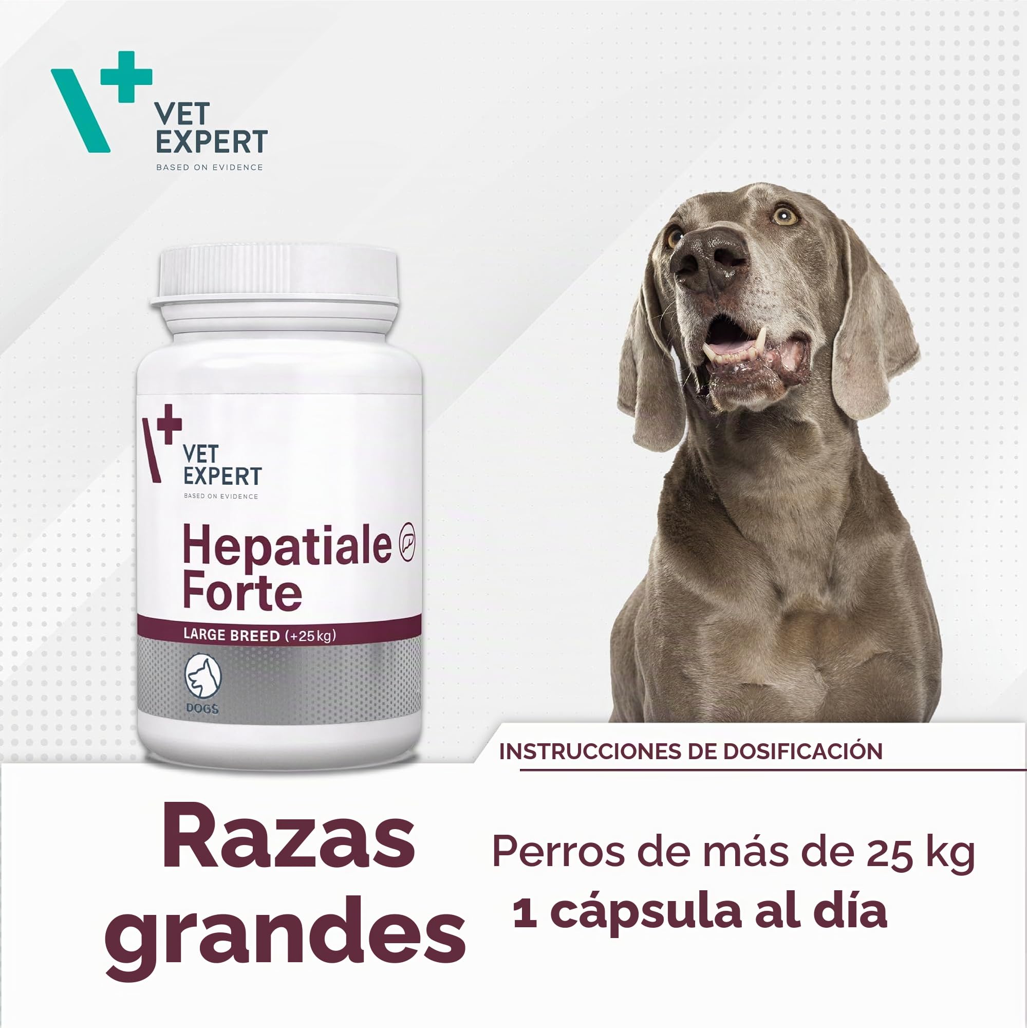 VetExpert Hepatiale Forte Large Breed | Paquete Doble | 2 x 40 Tabletas | Suplemento Dietético para Perros Grandes | Función Hepática Natural