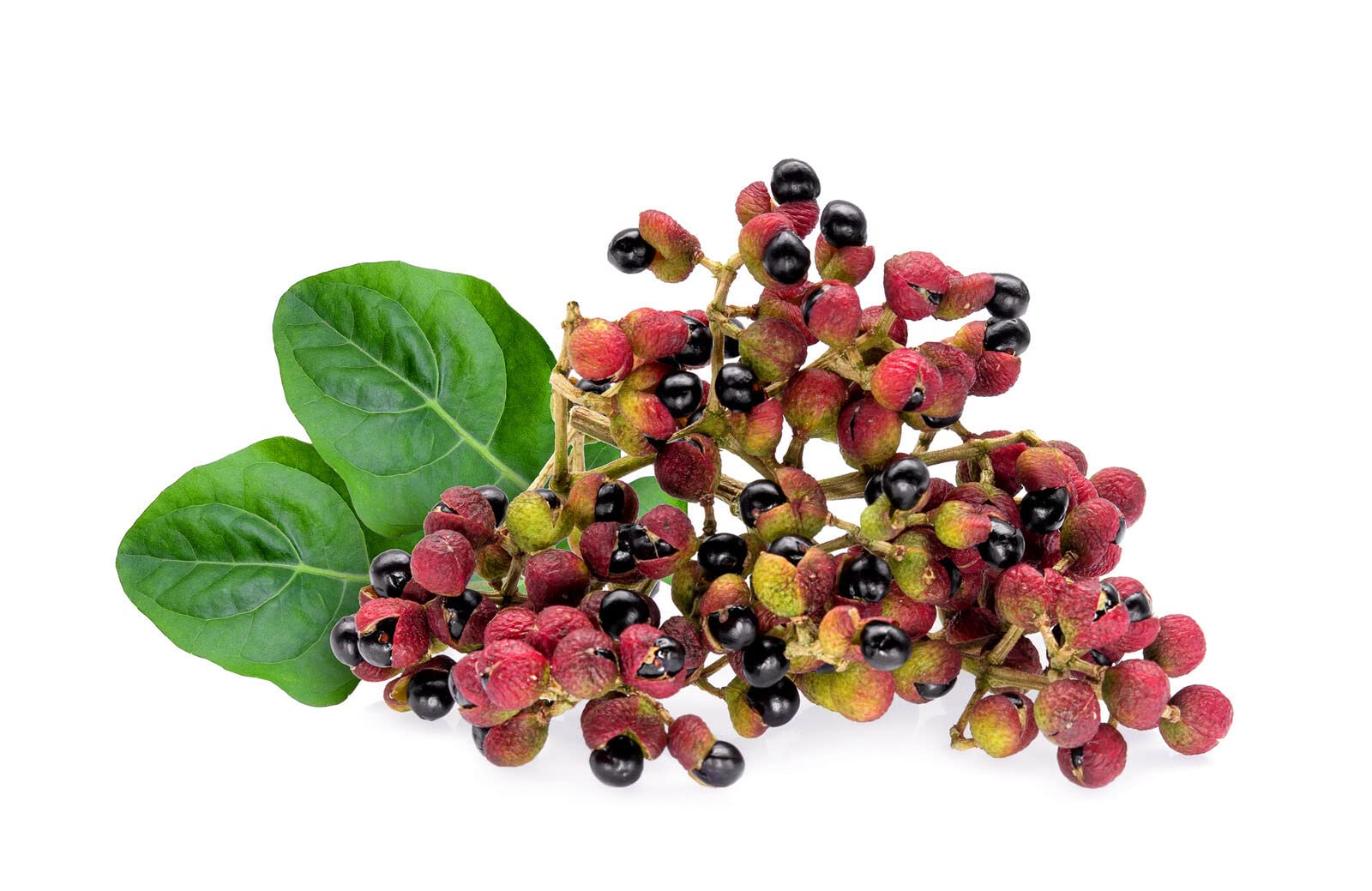 Pfeffer - Mix, Exotische Mischung aus 5 Pfeffer - Sorten. Mit Szechuan - Pfeffer und rosa Pfeffer. Premiumqualität. PP - Eimer 10KG