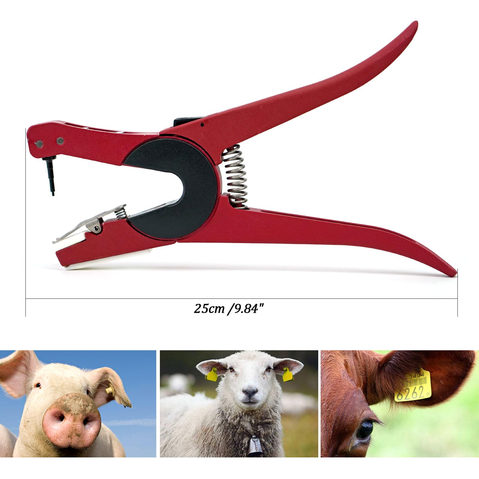 Pinze per Etichette Auricolari, Applicatore Universale per Bestiame Bovino, Pecore, Mucca, Punzonatrice per Etichette Auricolari, con Perno di Ribaltamento (Girevole a 90 Gradi)