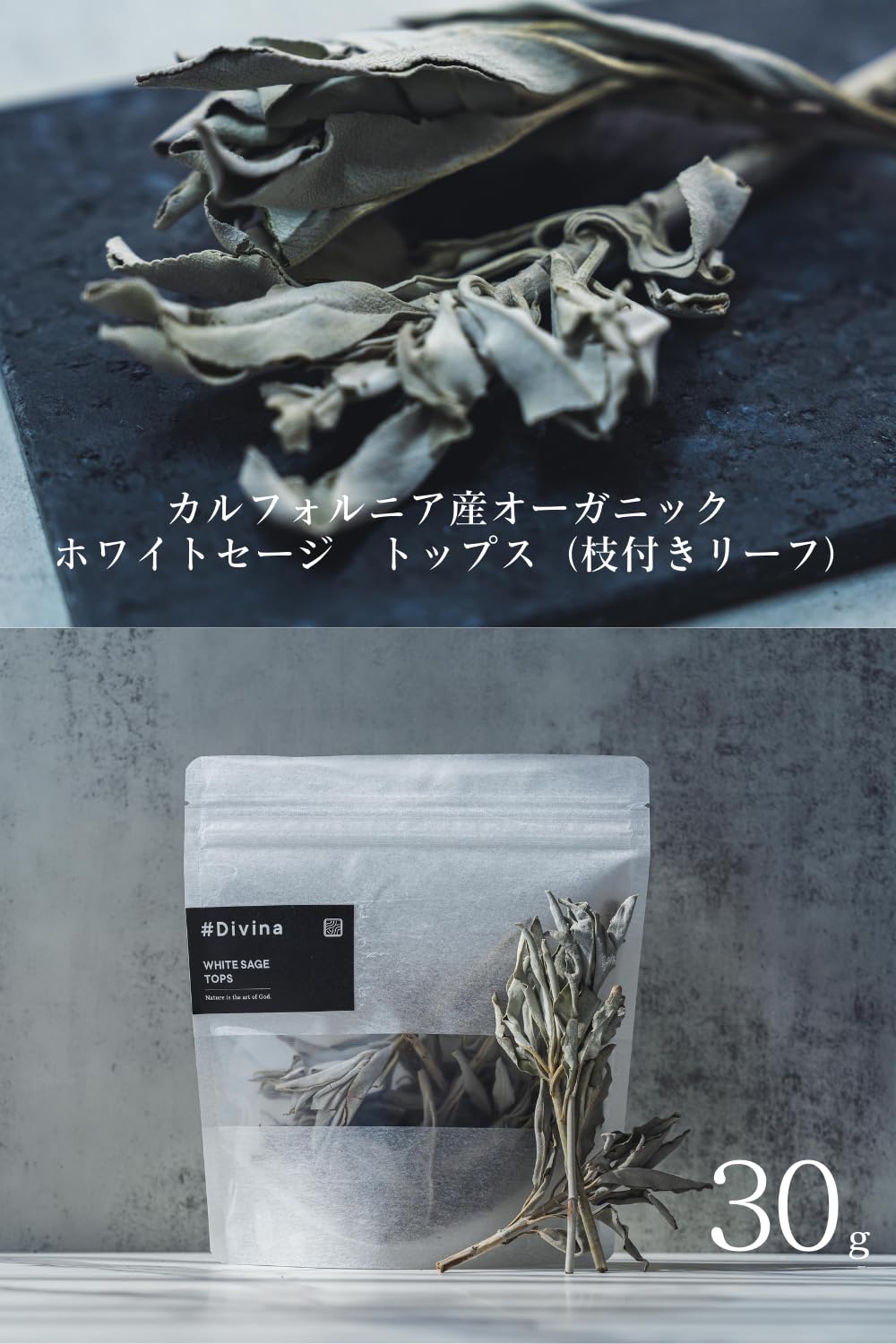Amazon.co.jp: #Divina ホワイトセージ 無農薬 カルフォルニア産 white
