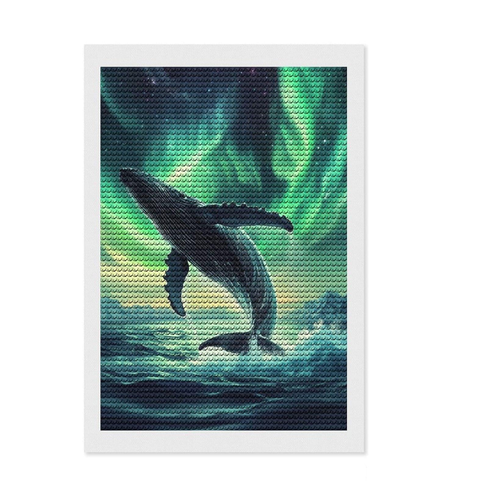 Junmoney Humpback Whale Northern Full Drill Diamond Painting Kit 8"x12", Office Decor, for Beginners, Full Kit Included, Christmas Gift