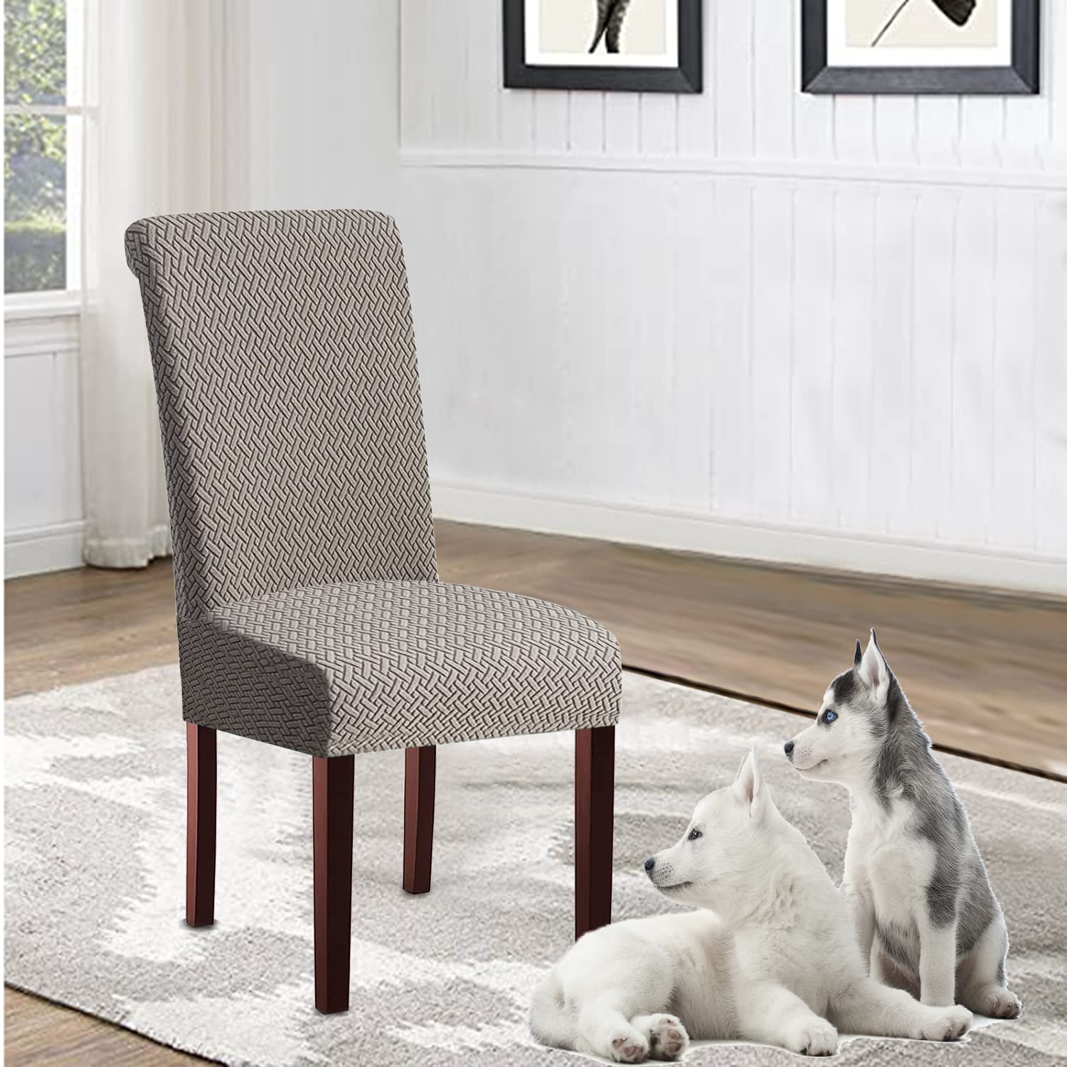 Coprisedie Moderne Set di 1/2/4/6, Coprisedia Elasticizzato Coprisedia Universale Lavabile Elastico Rimovibile per la Decorazione della Festa (Grigio Chiaro,4 Pezzi)