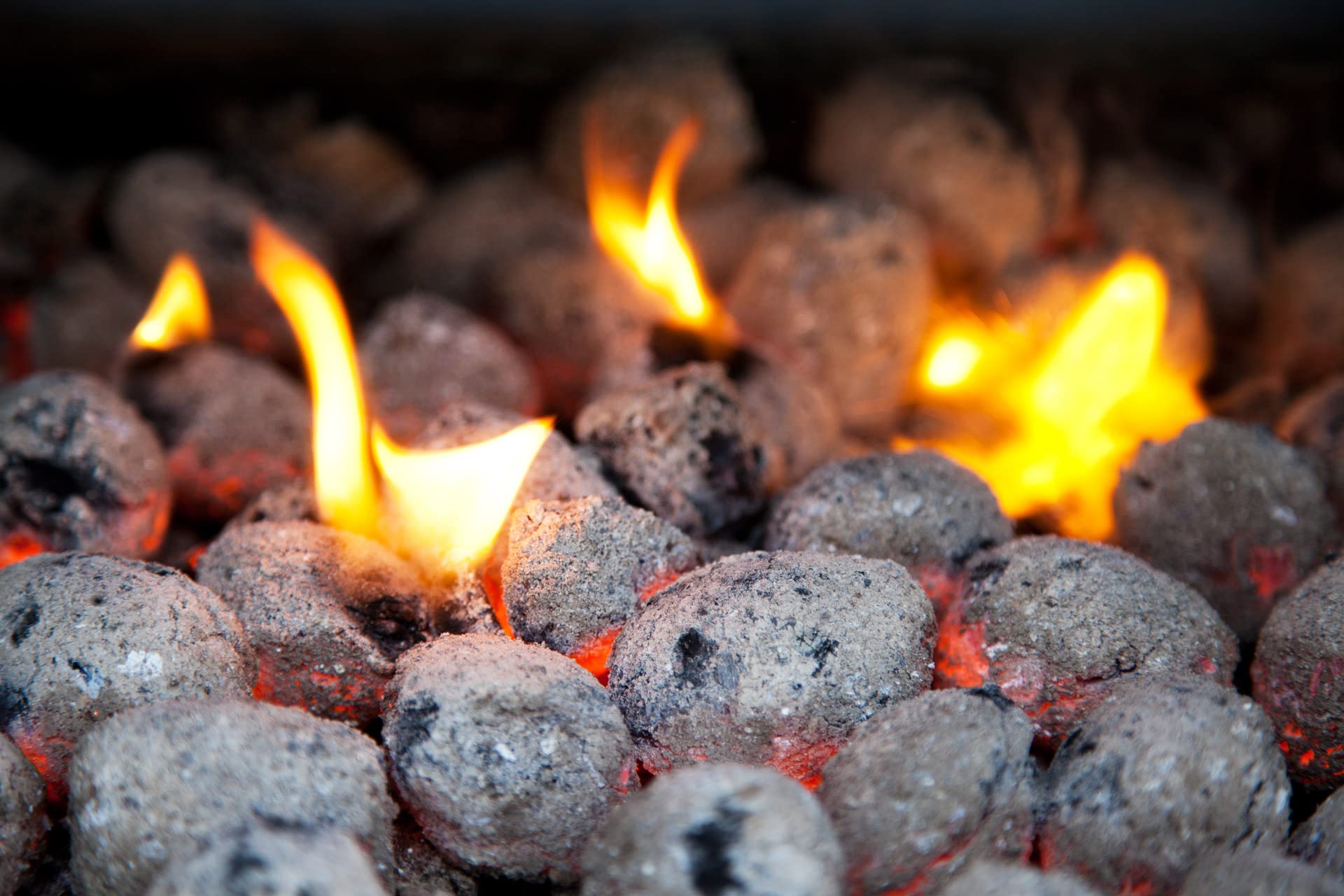 Carbone 10kg di altà qualità per Barbecue, Rosso E Nero, L