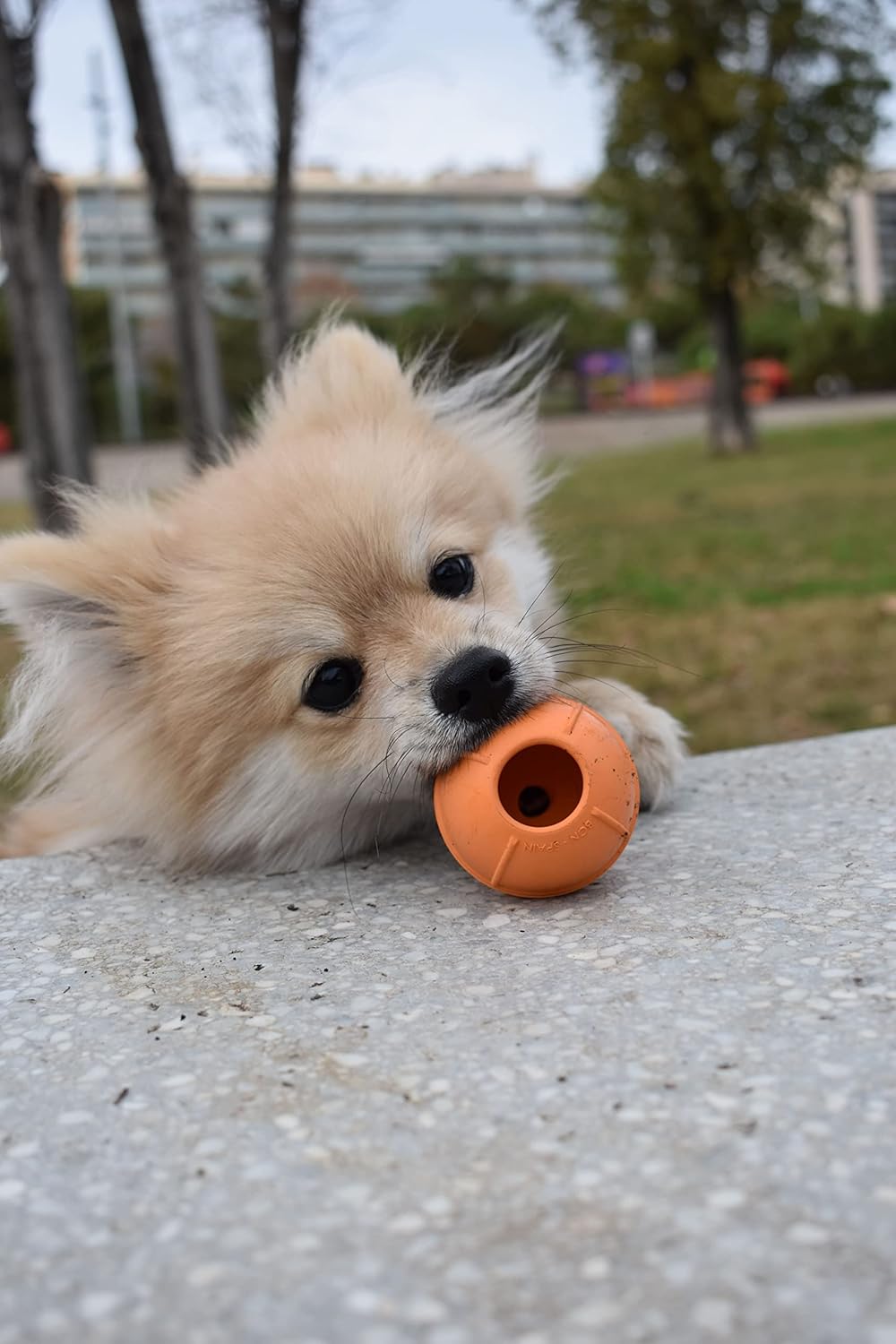Dog Ball | Multifunctional Dog Ball | Refillable and Scented | Interactive and Healthy Play (Medium Hardness - Small Size)| Spanish Product