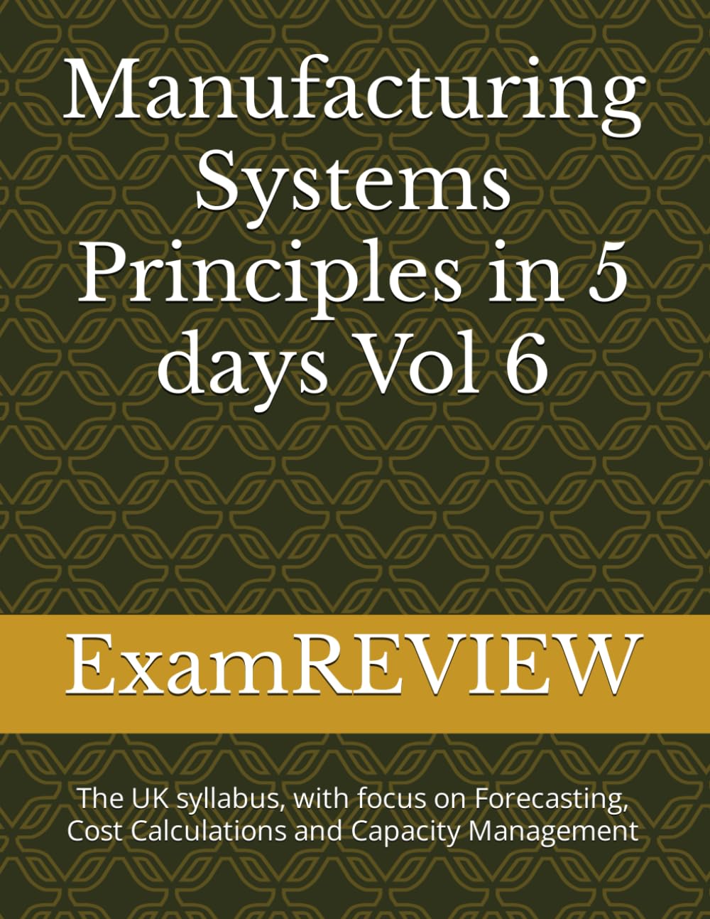 Manufacturing Systems Principles in 5 days Vol 6: The UK syllabus, with focus on Forecasting, Cost Calculations and Capacity Management (BTEC)
