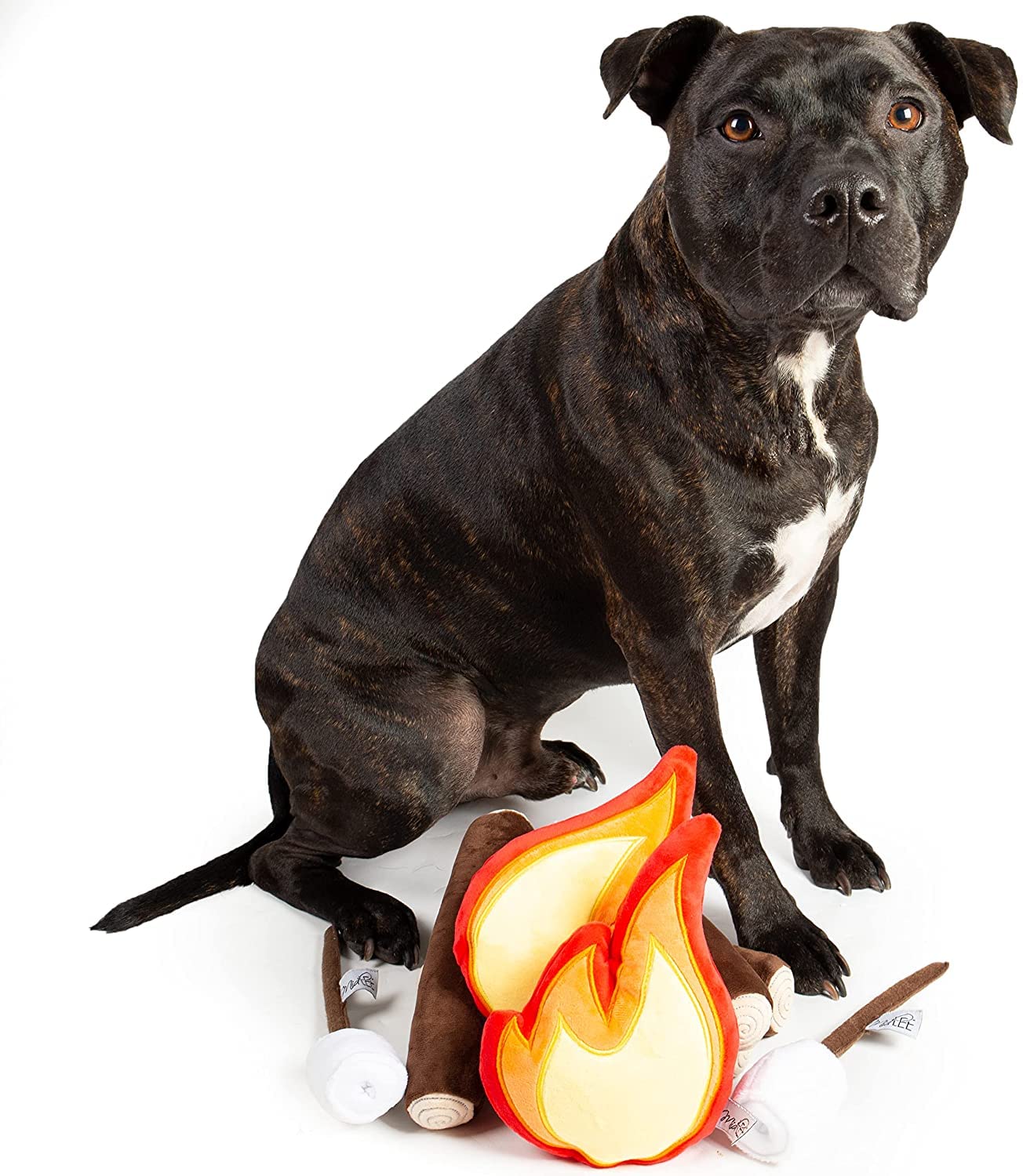Juguete para perros en una fogata