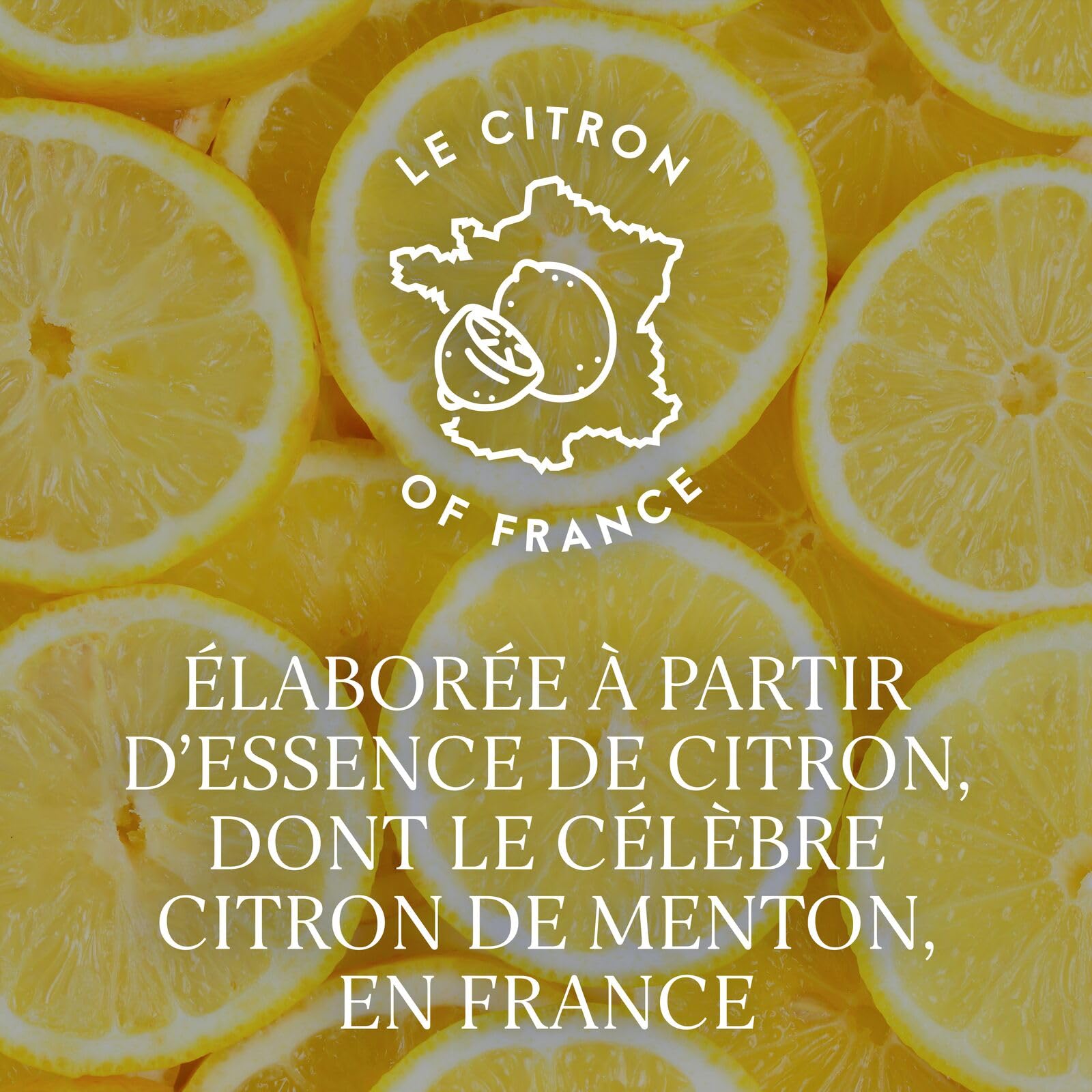 GREY GOOSE Le Citron, 40% vol., 70 cl/700 ml, Vodka premium aromatisée au citron, fabriquée en France à partir de vodka GREY GOOSE et d’essence naturelle de citron de Menton en France