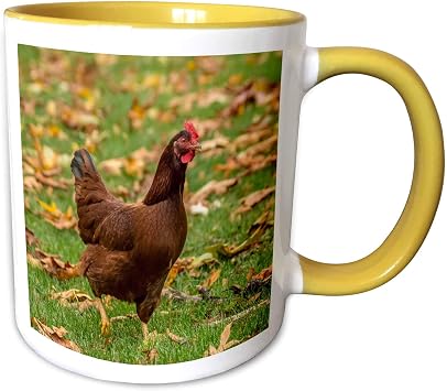 3dRose Issaquah, WA, USA. Free-ranging Rhode 15oz Two-Tone Yellow Mug