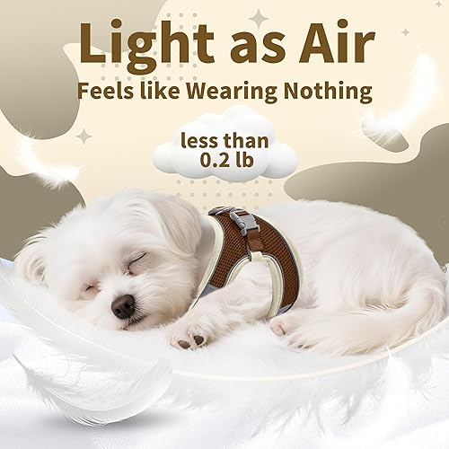 Miniatura 122 de AIITLE Arnés Escalonado para Perro y Juego de Correa - Chaleco Arnés a Prueba de Escape Sin Tirones con Malla Suave y Bandas Reflectantes, Arneses