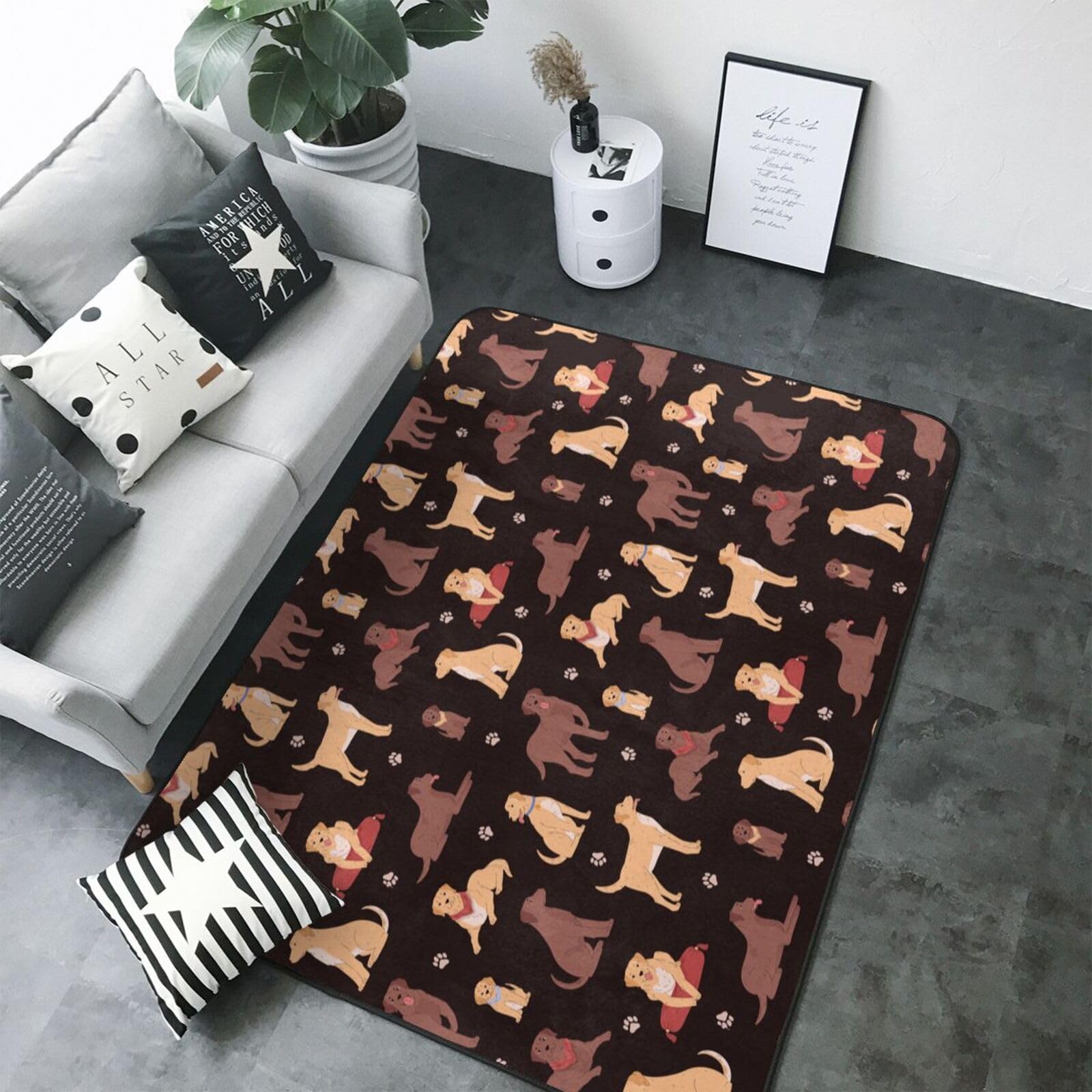 Tapis labrador chocolat lavable et doux pour salon et chambre