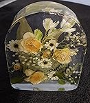 Review Image by JSteele JSteele