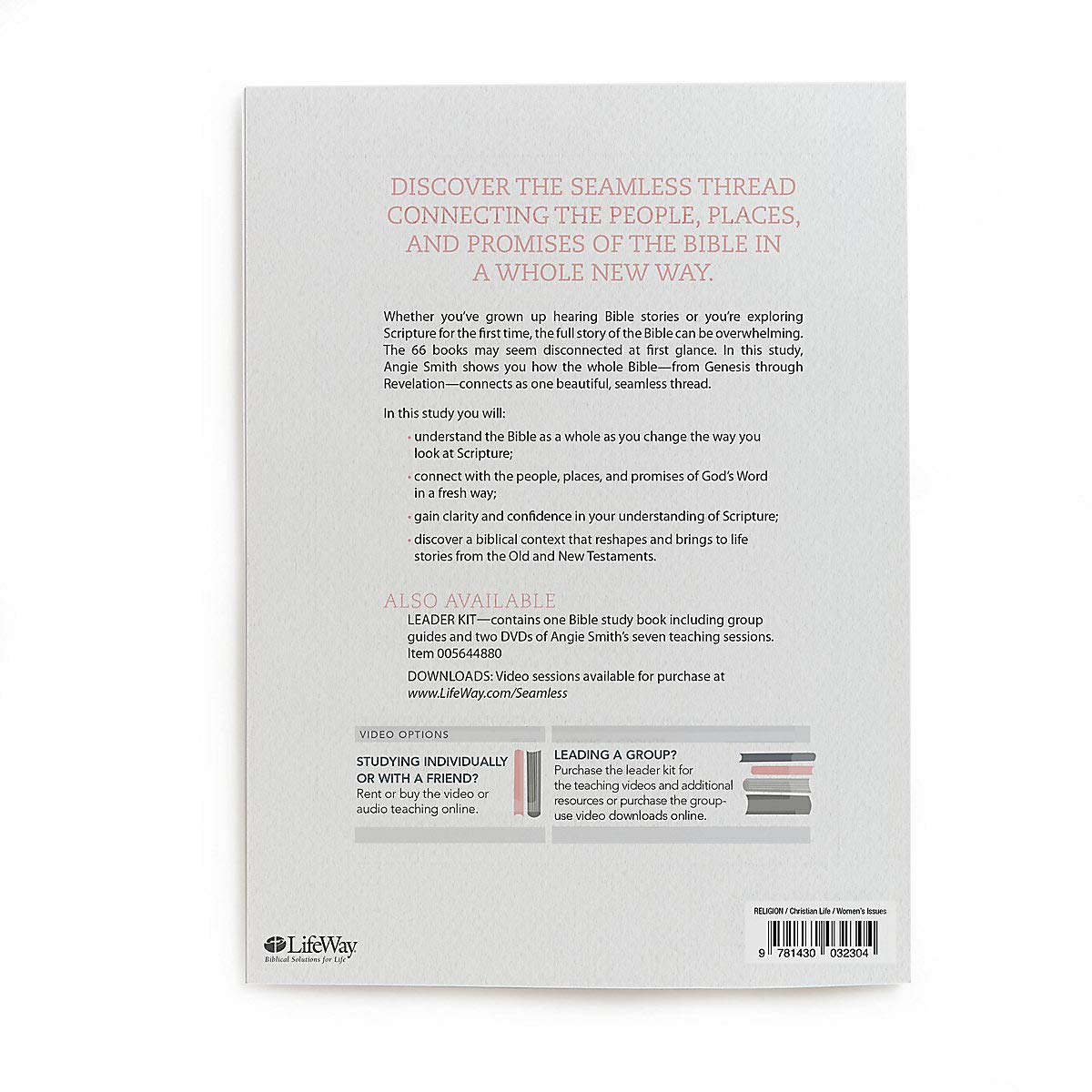Seamless: Understanding the Bible as One Complete Story (Member Book)