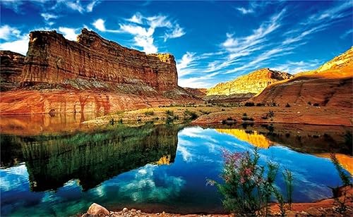 Kits de pintura de diamantes 5D, paisaje natural, arte de diamantes para niños, pintura por número para adultos, 12 x 24 pulgadas, gran taladro