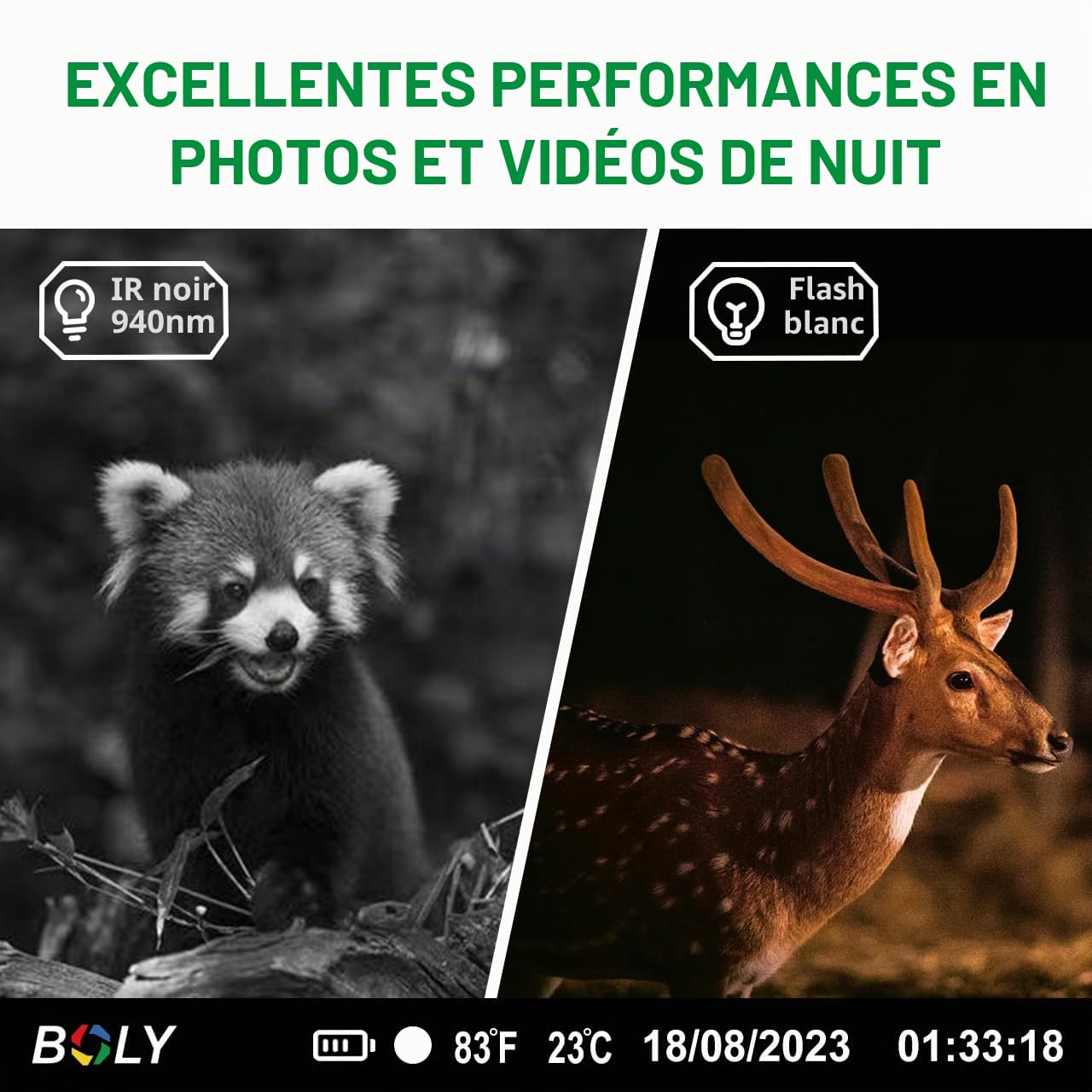 BolyGuard Camera de Chasse 56MP 4K HD Vision Nocturne caméra Animaux avec Carte SD 256G avec détecteur Mouvement caméra de Chasse Exterieur imperméable piege Photo sans éclat piege Photographique camé