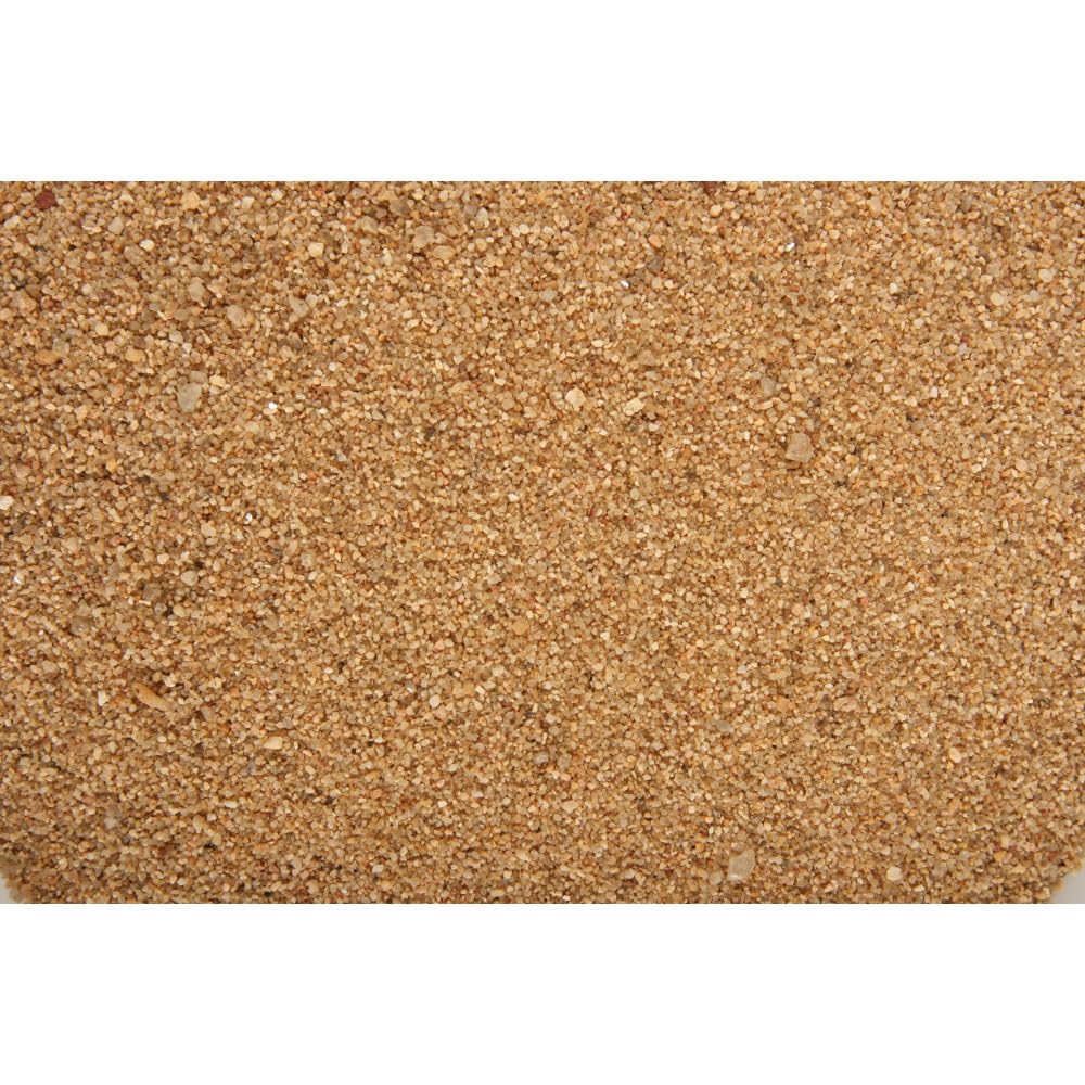 animallparadise - sol décoratif 1-4 mm, naturel rivière AquaSand 1 kg pour aquarium