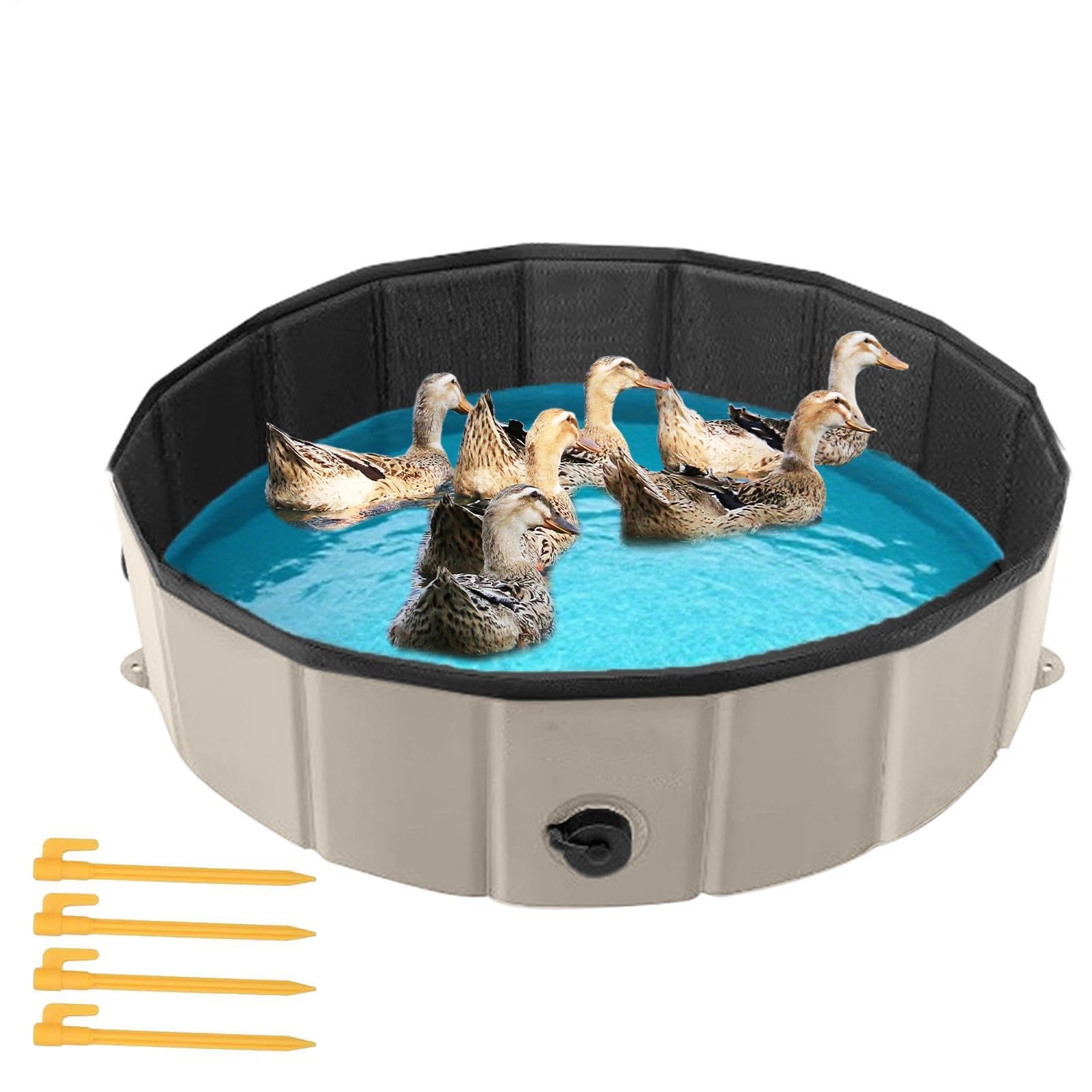 Sand Bath Container for Chickens | Bath Tube, Clean, Maintain, Large Capacity, Poultry Farm Accessories, Turkey, Duck, Quail, Pet, Cleaning Bath Container