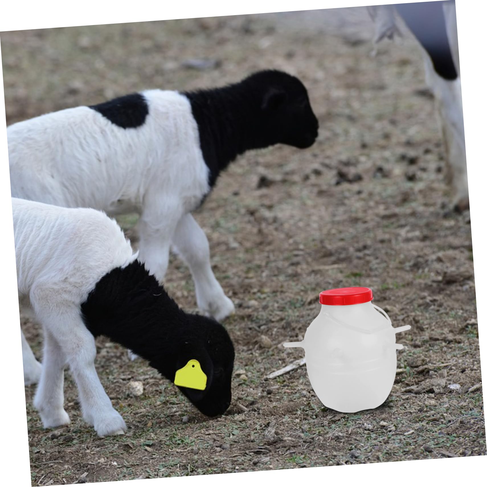 Biberon per Agnelli 8000ml Bianco in Plastico e Silicone | Riutilizzabile, Design Creativo, Alimentazione Comoda e Sicura, Capacità Grande