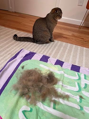 Laadi Deshedding Tool — bottom and base construction detail