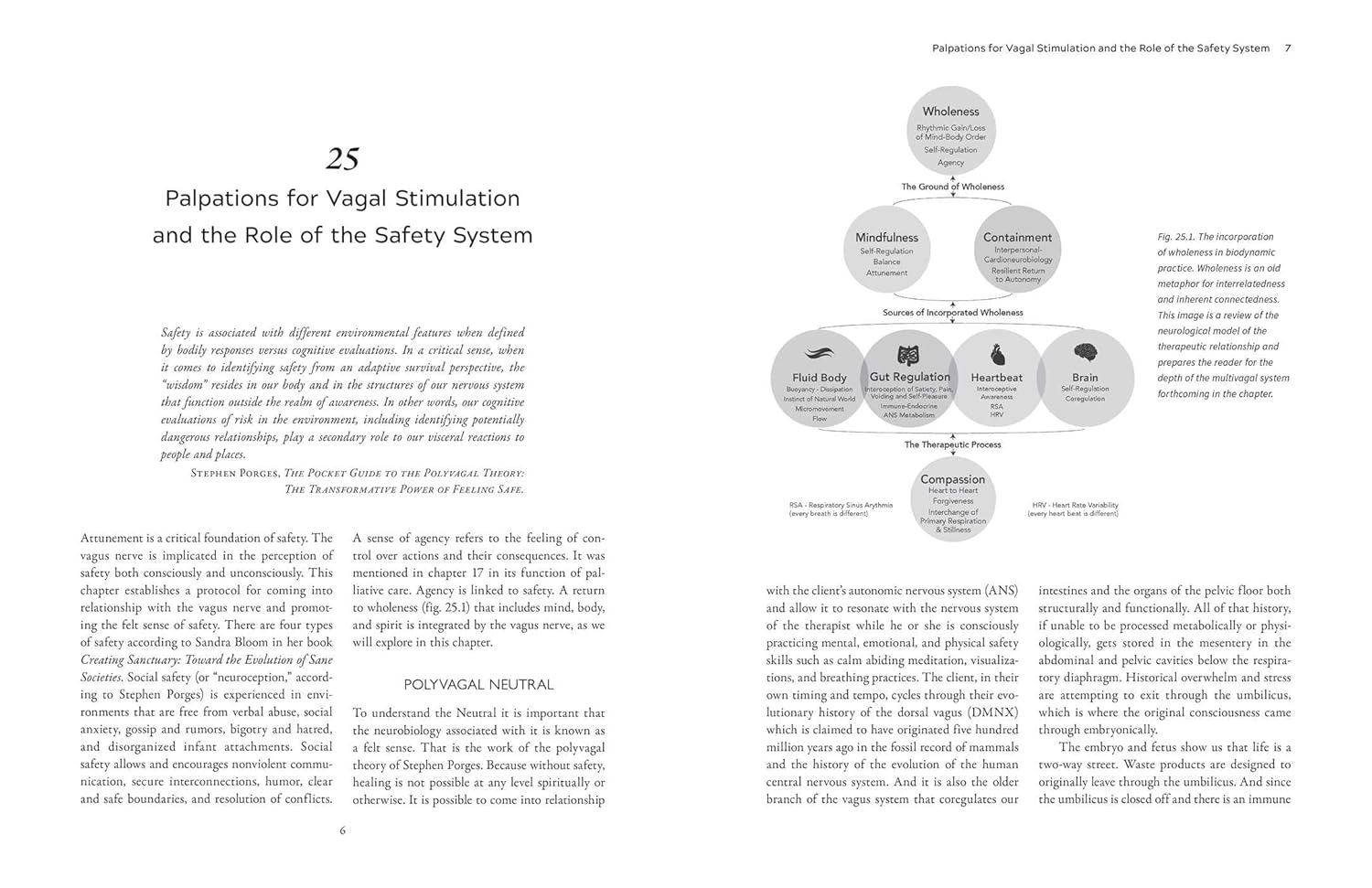 The Biodynamics of the Immune System: Balancing the Energies of the Body with the Cosmos      Paperback – January 17, 2023
